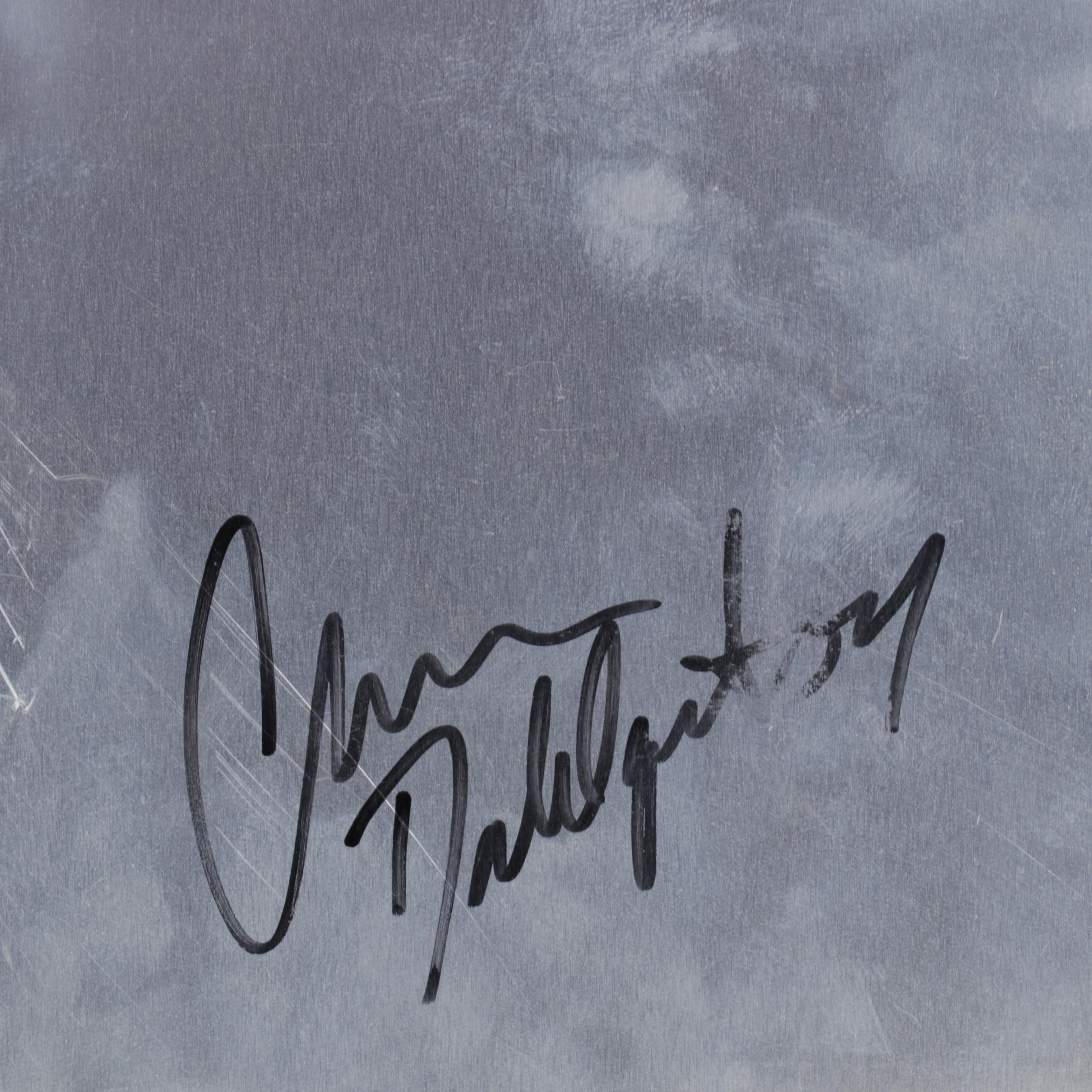 Chris Dahliquist Digital Photograph on Assembled Metal Panels, 2007