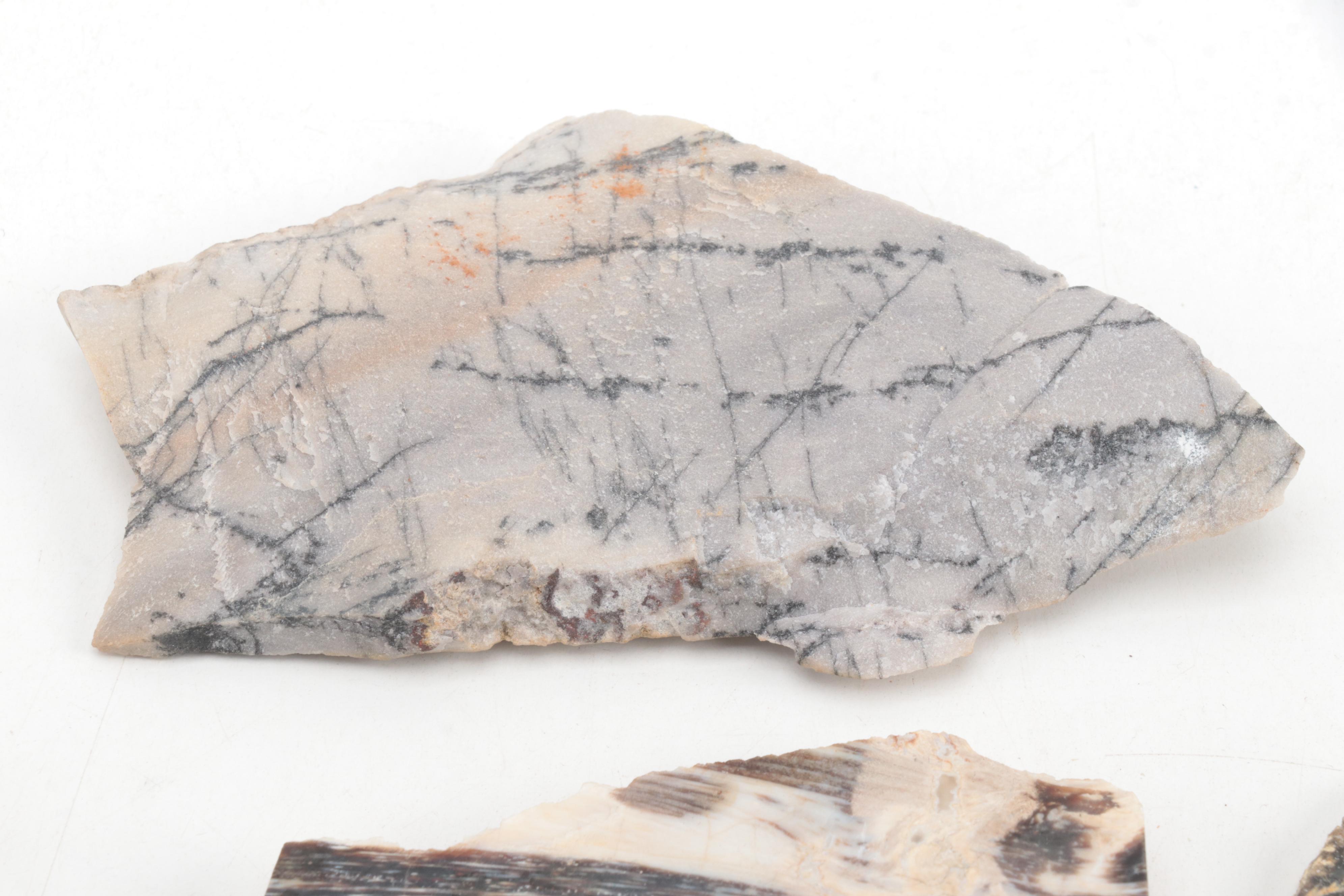 Jasper, Bauxite, Petrified Wood and Other Mineral Specimen Slices