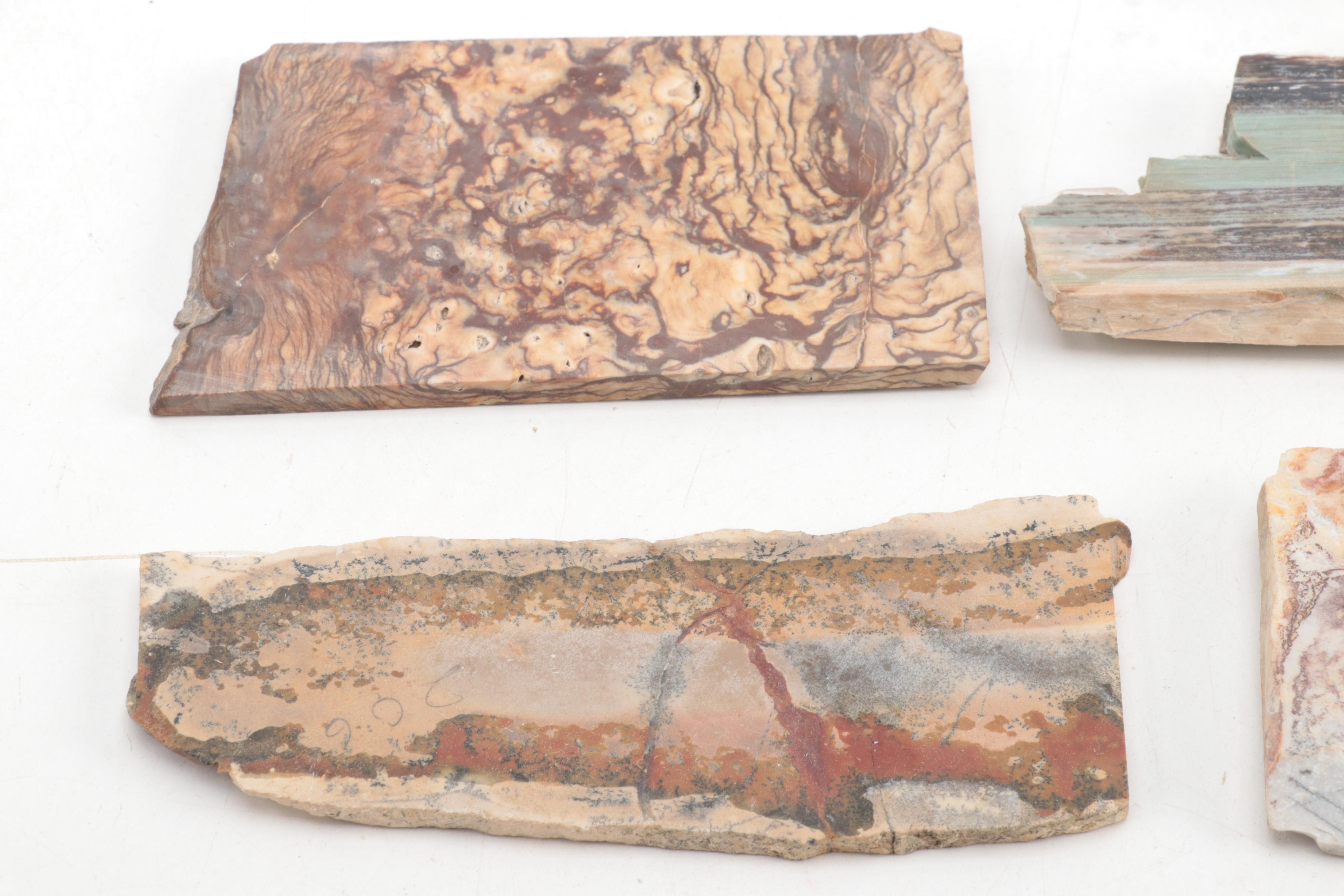 Jasper, Bauxite, Petrified Wood and Other Mineral Specimen Slices