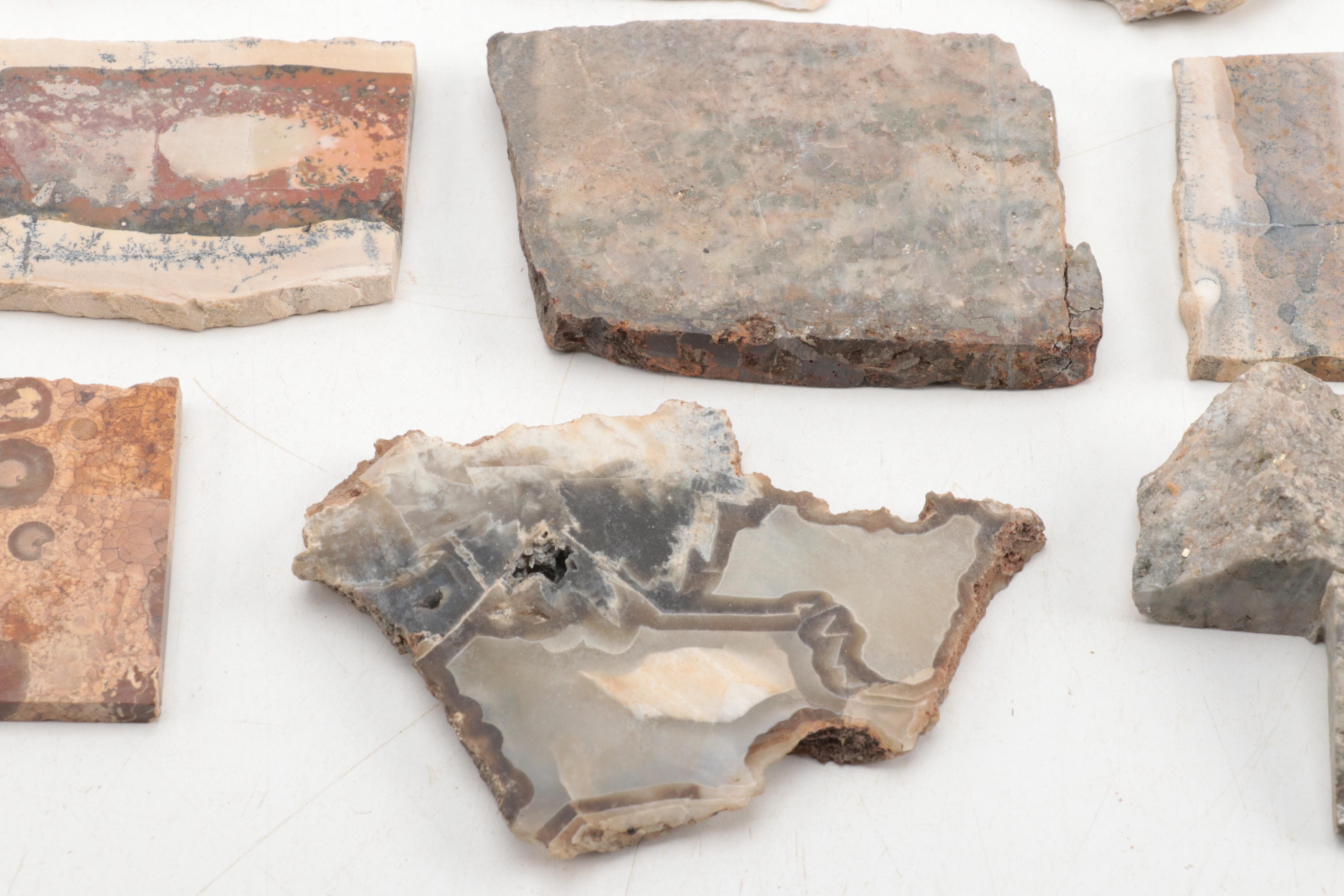 Jasper, Bauxite, Petrified Wood and Other Mineral Specimen Slices