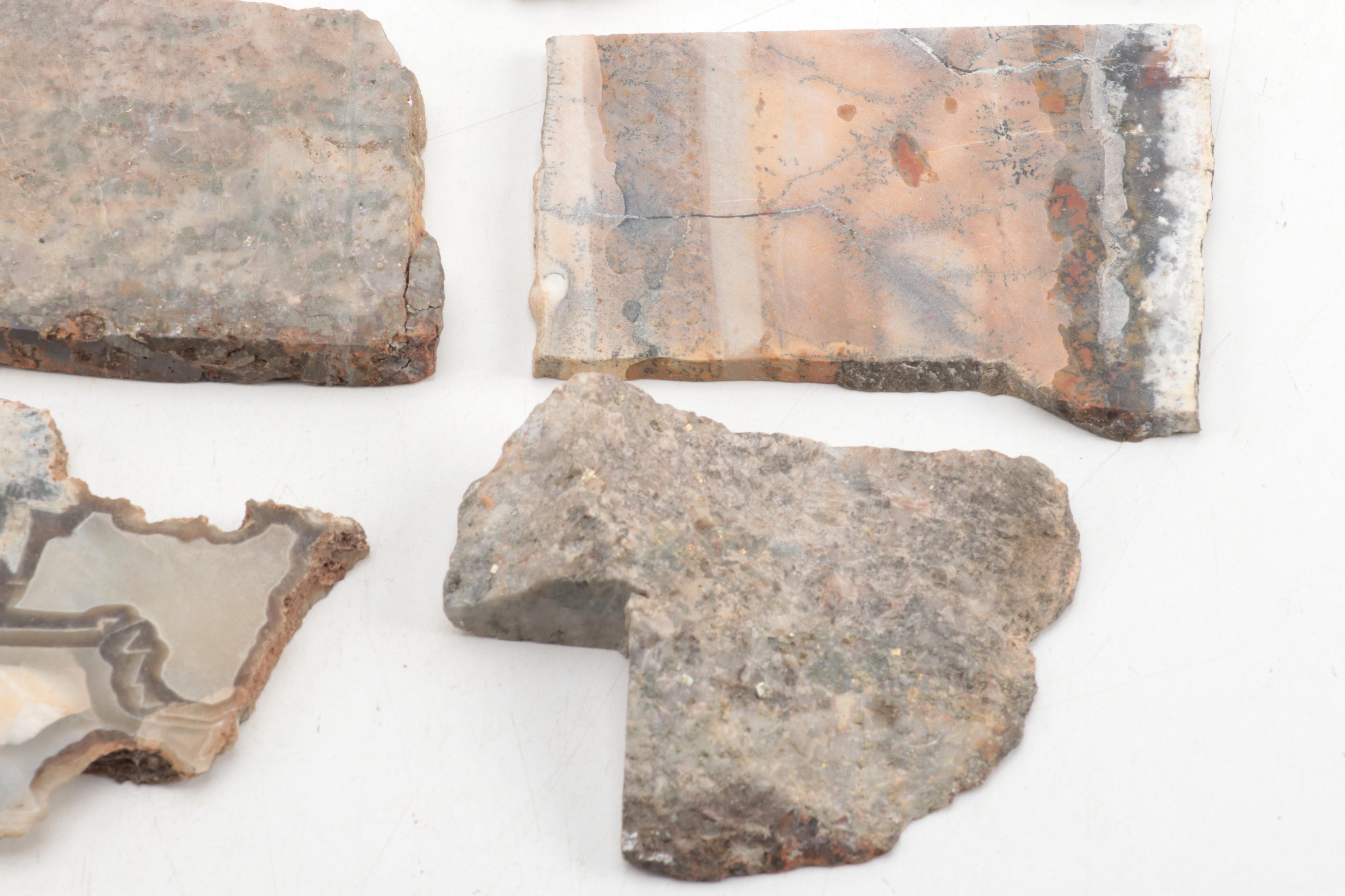 Jasper, Bauxite, Petrified Wood and Other Mineral Specimen Slices