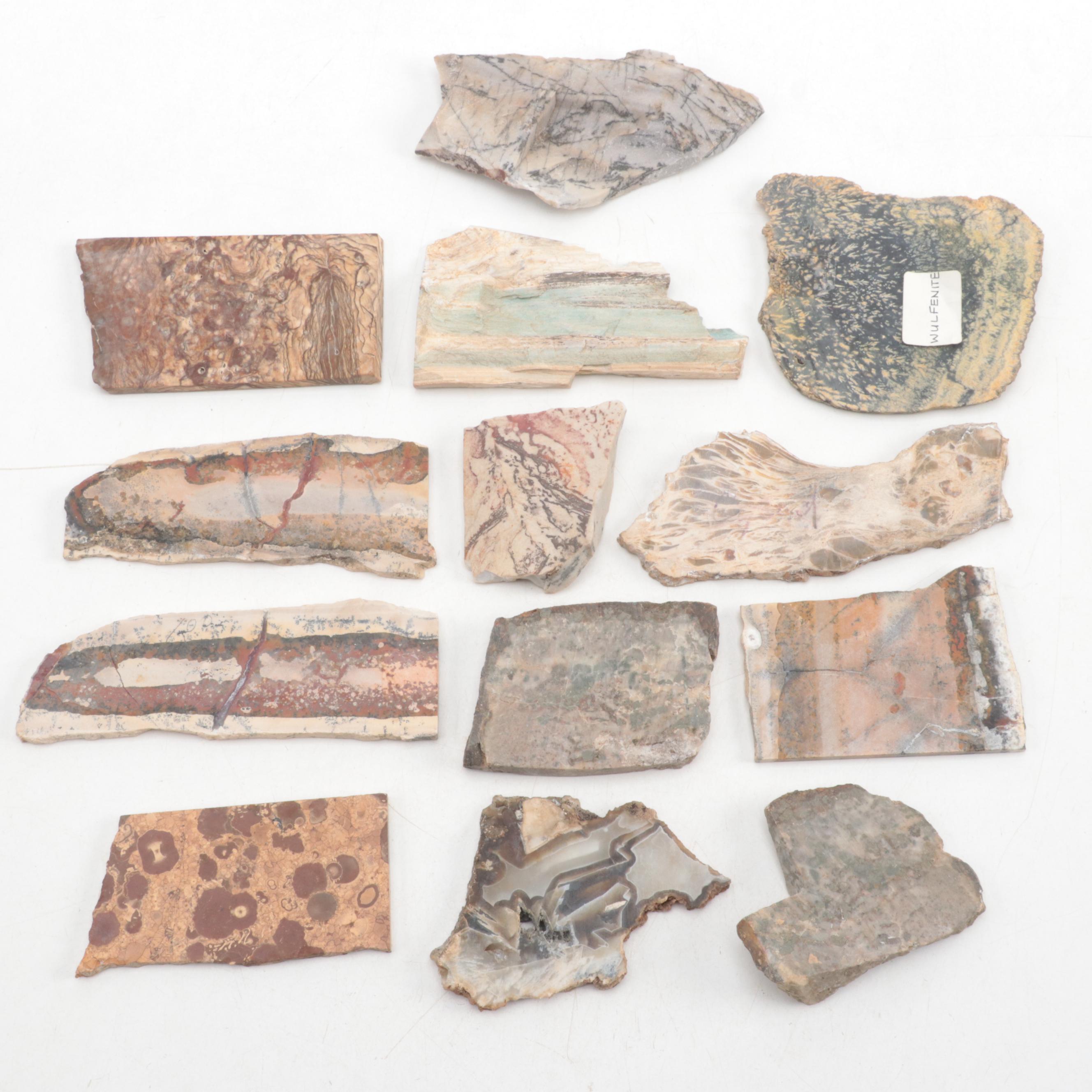 Jasper, Bauxite, Petrified Wood and Other Mineral Specimen Slices