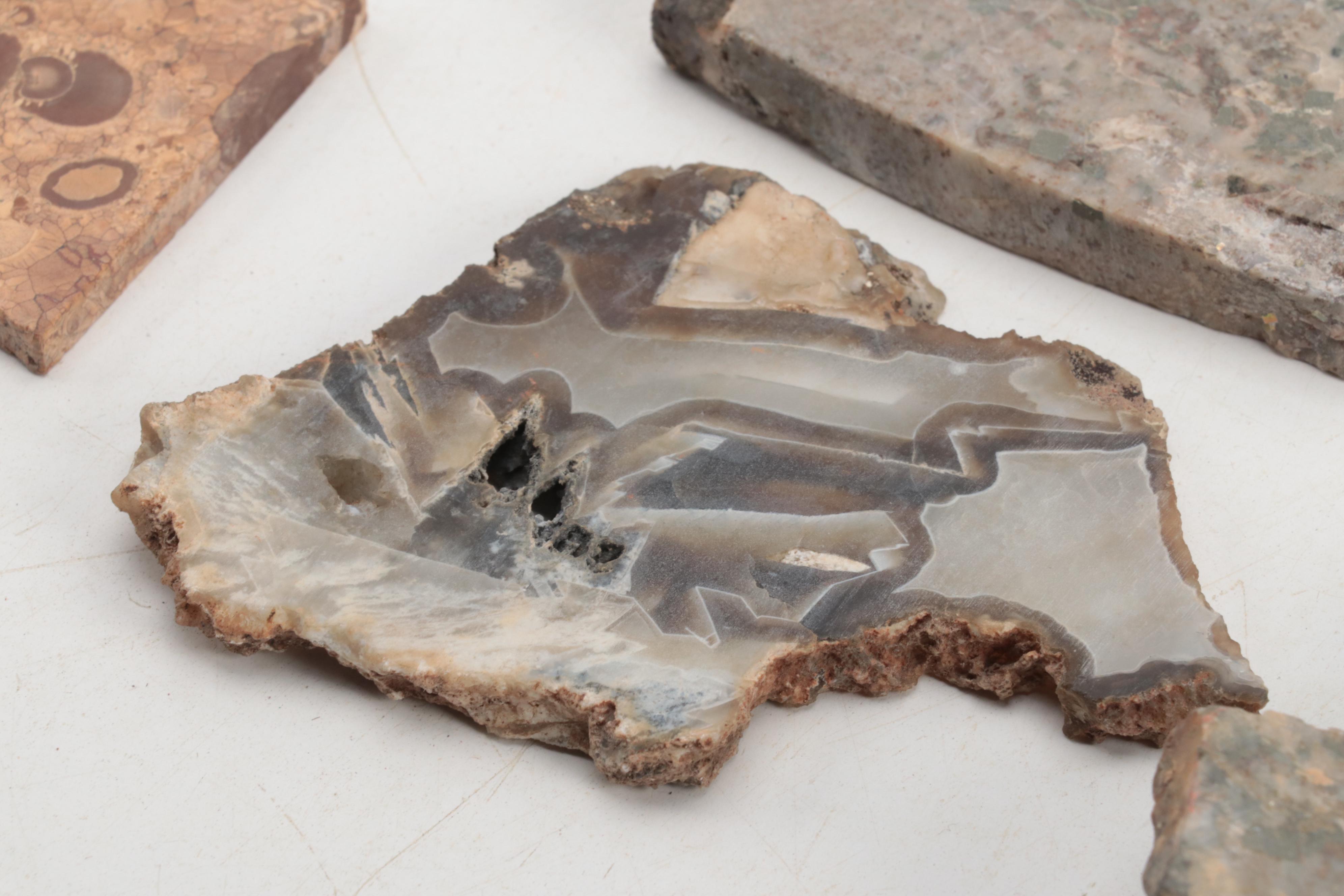 Jasper, Bauxite, Petrified Wood and Other Mineral Specimen Slices