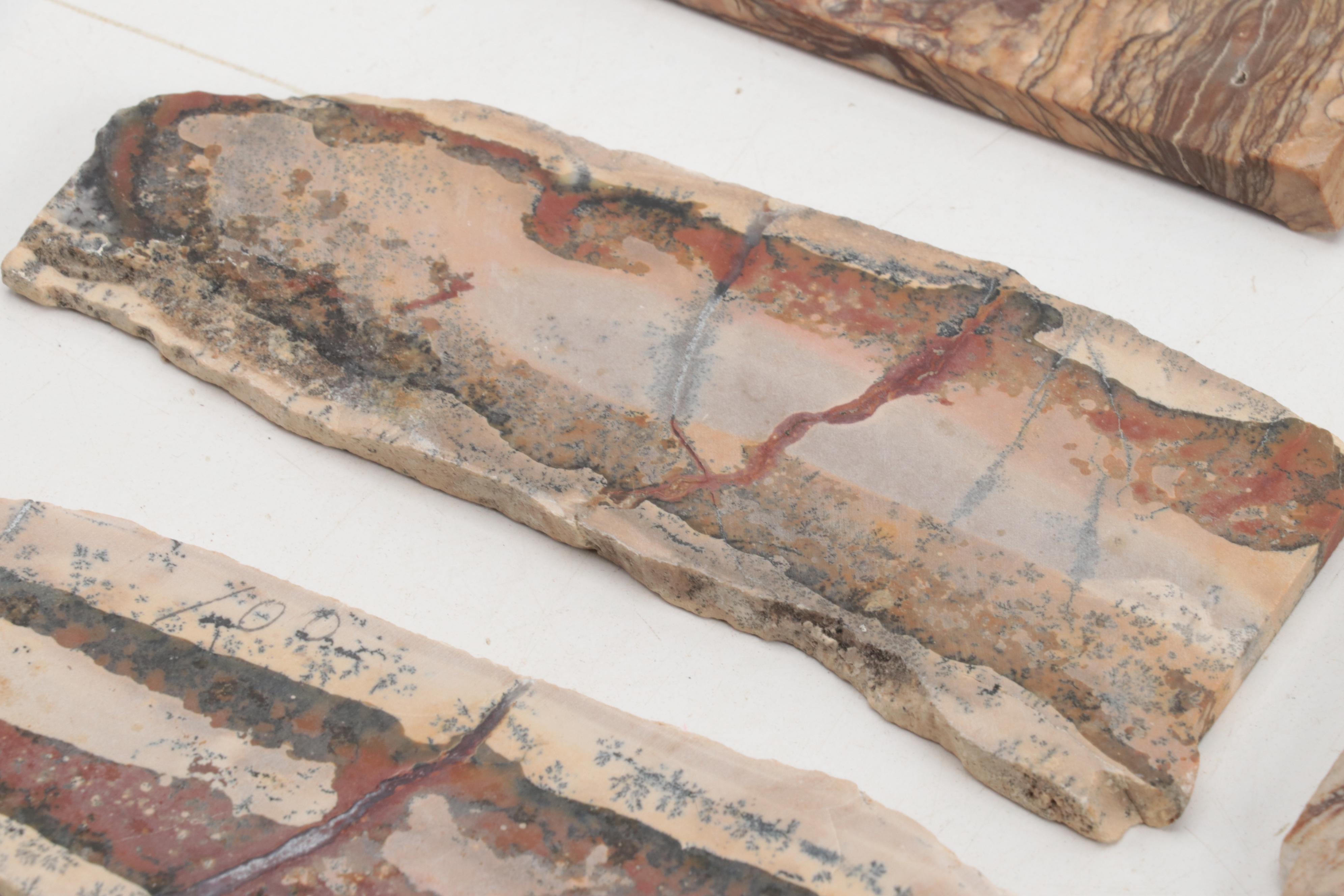 Jasper, Bauxite, Petrified Wood and Other Mineral Specimen Slices