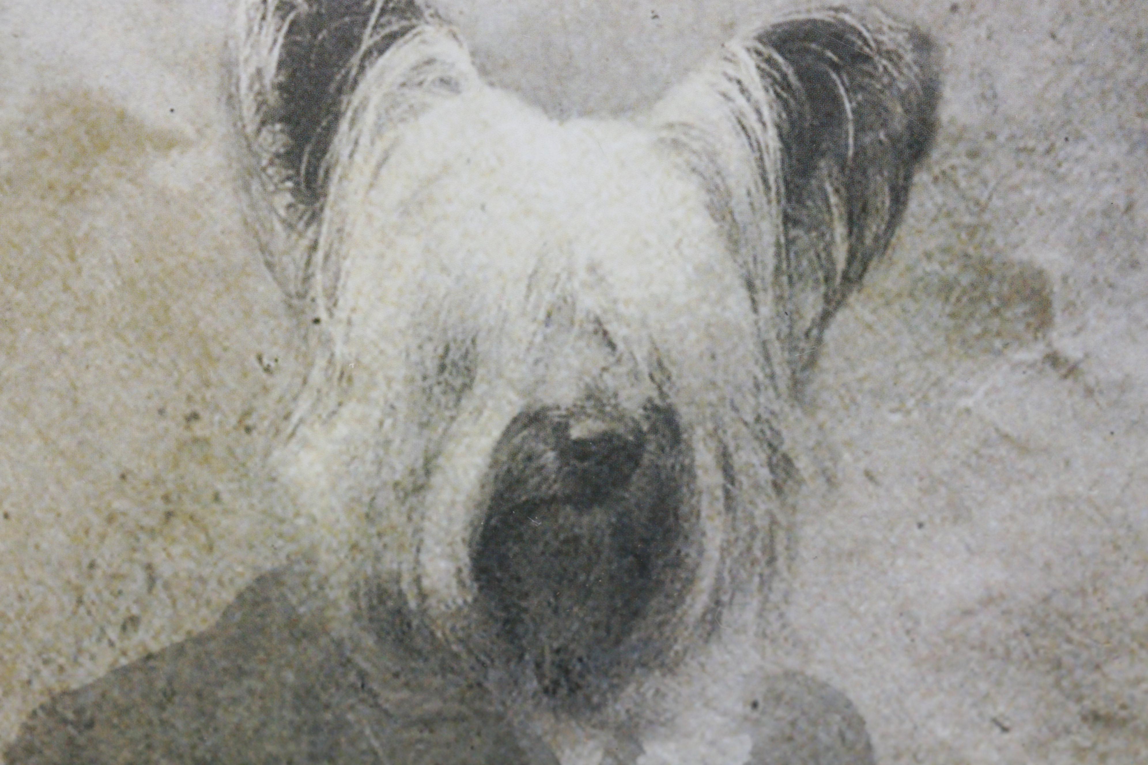 J. Bird Cremeans Victorian Style Animal Portrait Giclées, 21st Century