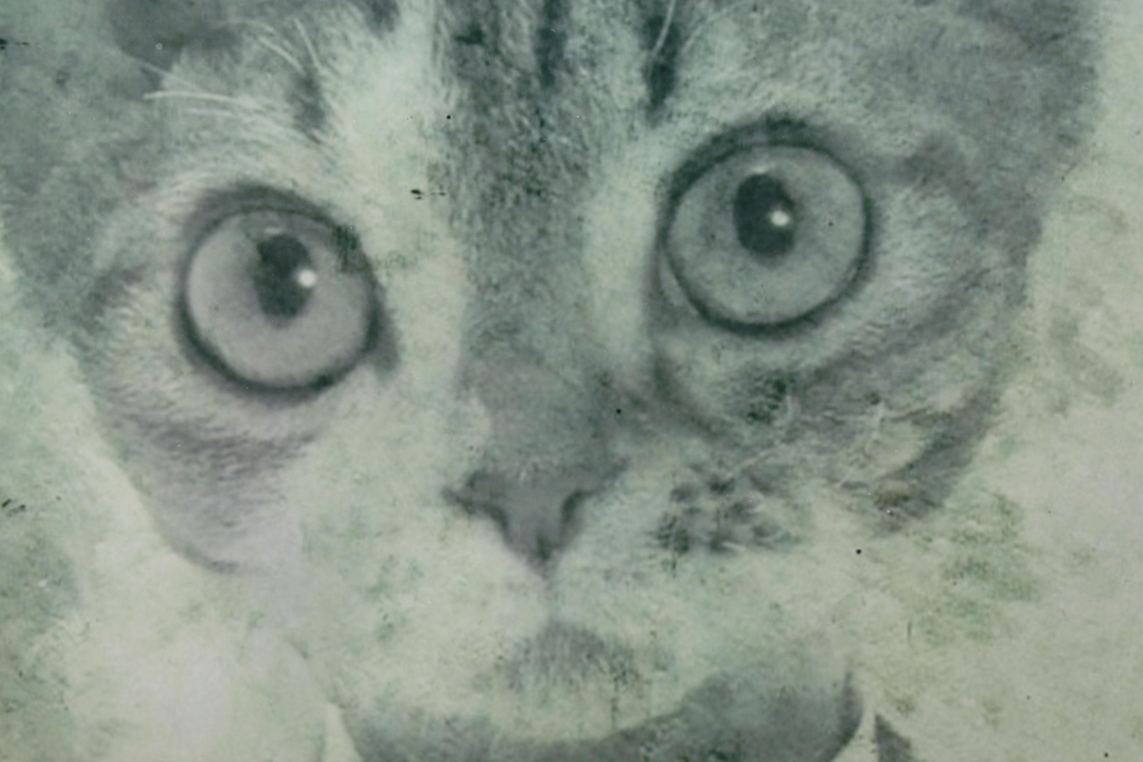 J. Bird Cremeans Victorian Style Animal Portrait Giclées, 21st Century