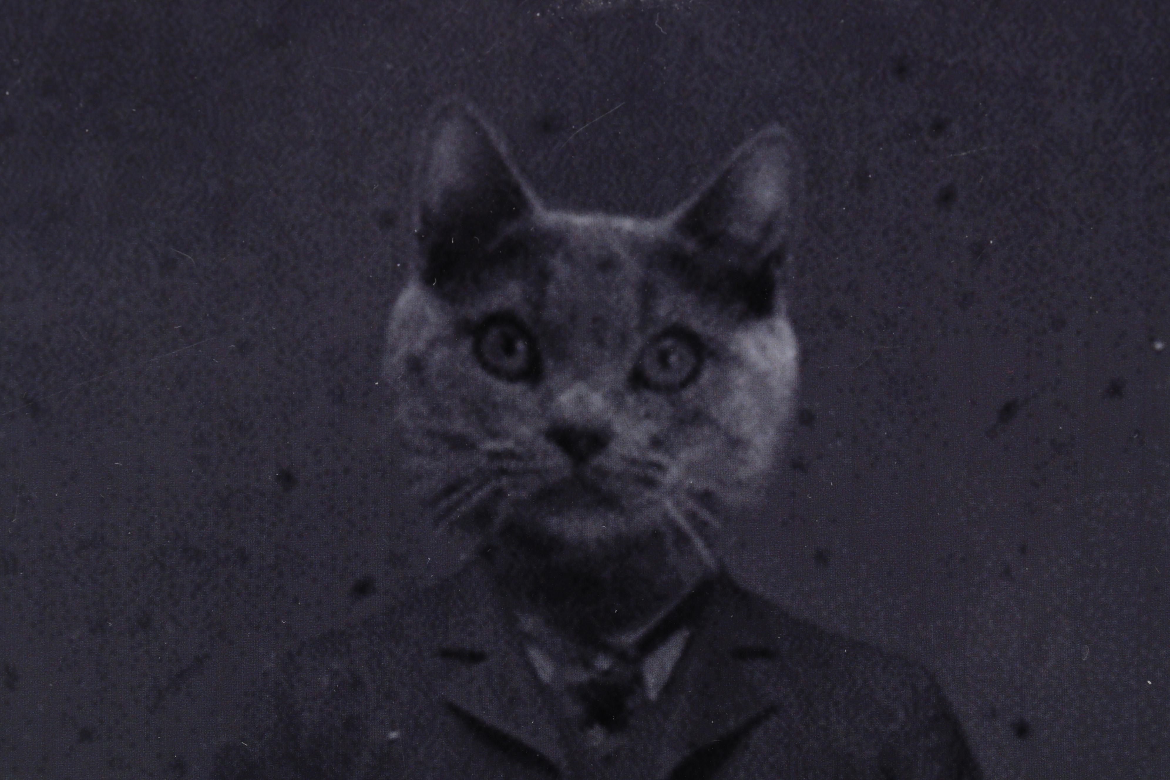 J. Bird Cremeans Victorian Style Animal Portrait Giclées, 21st Century