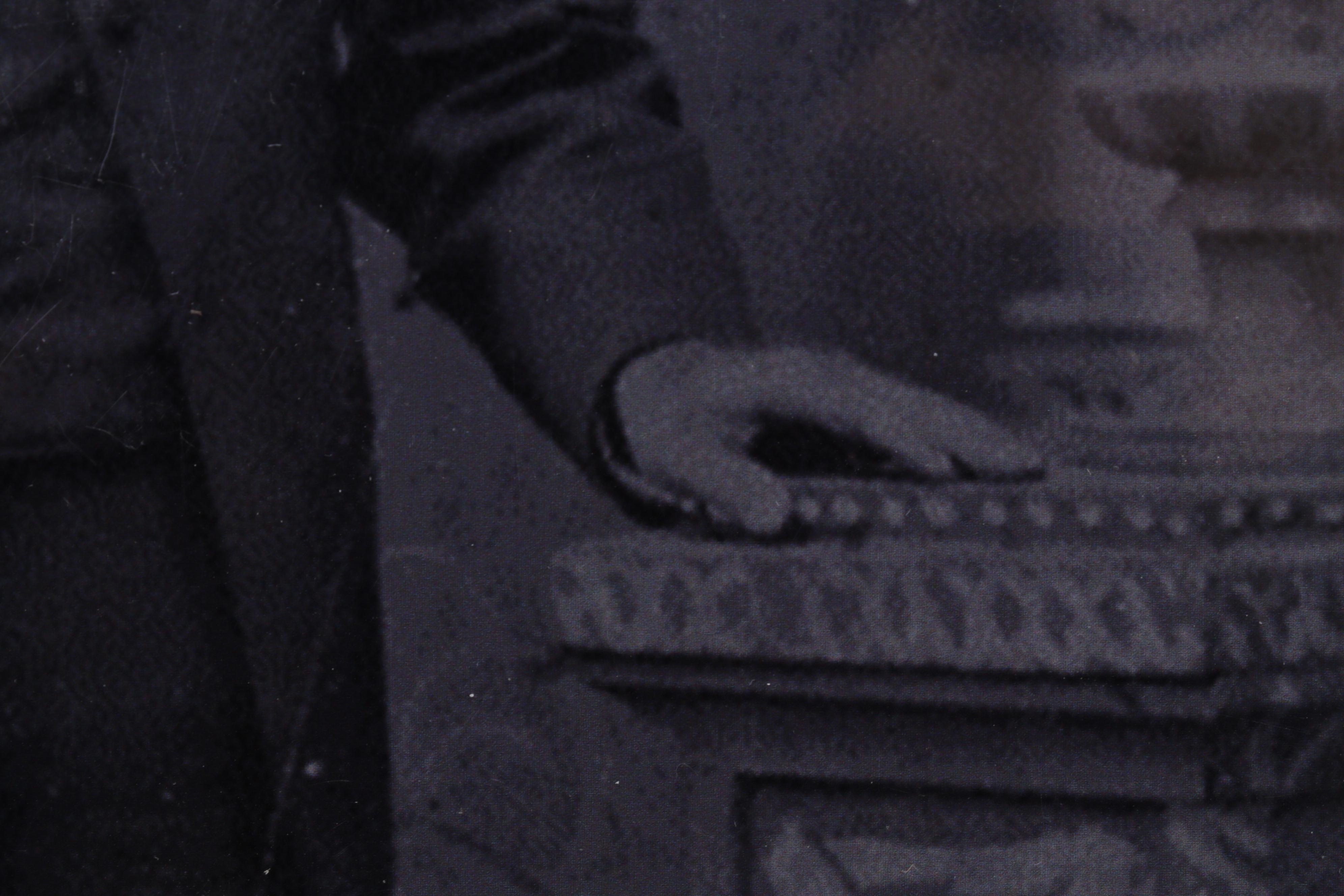 J. Bird Cremeans Victorian Style Animal Portrait Giclées, 21st Century