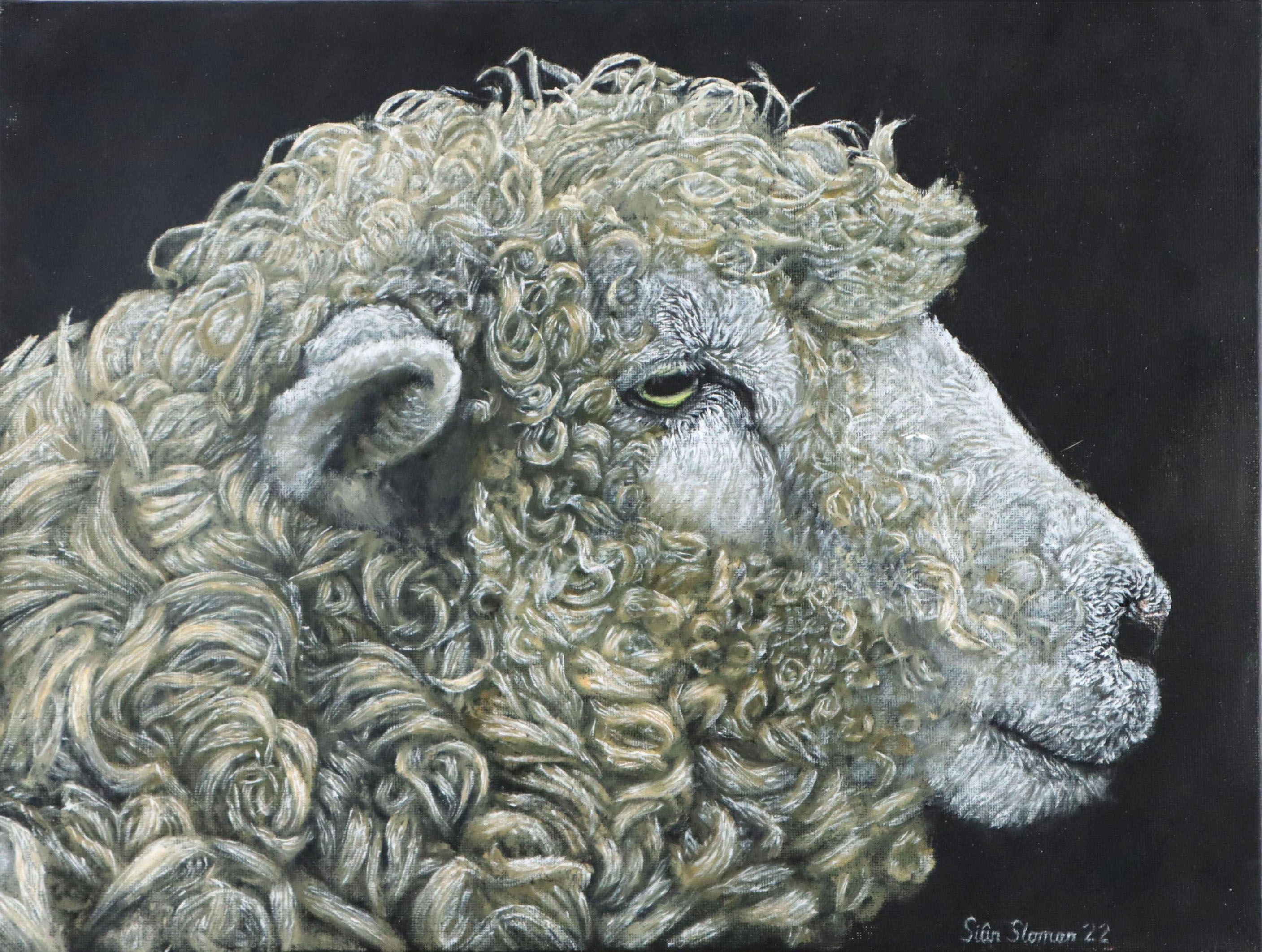 Siân Sloman Oil Painting of Sheep, 2022