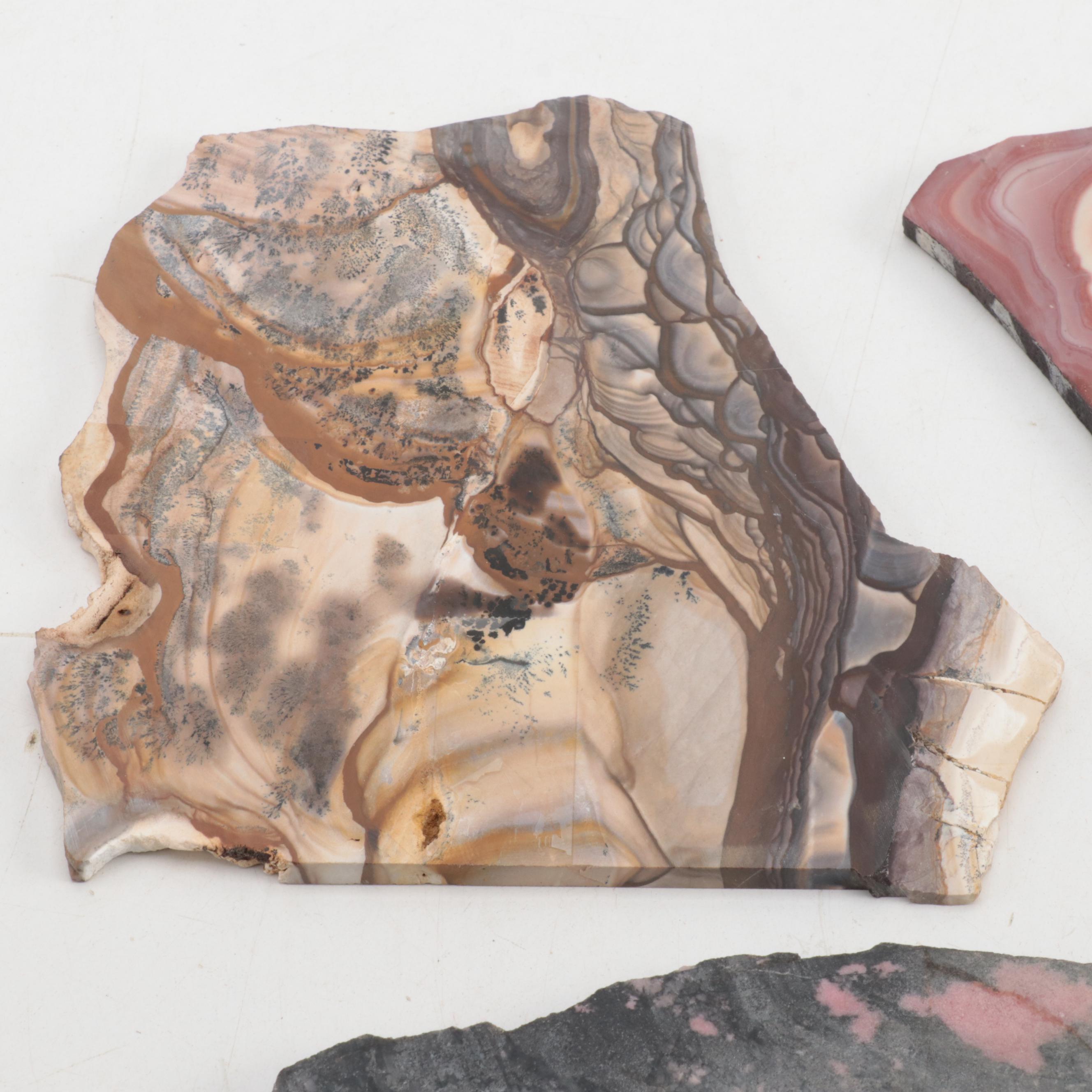 Death Valley Jasper, Rhodonite, Agate and Other Mineral Specimen Slices