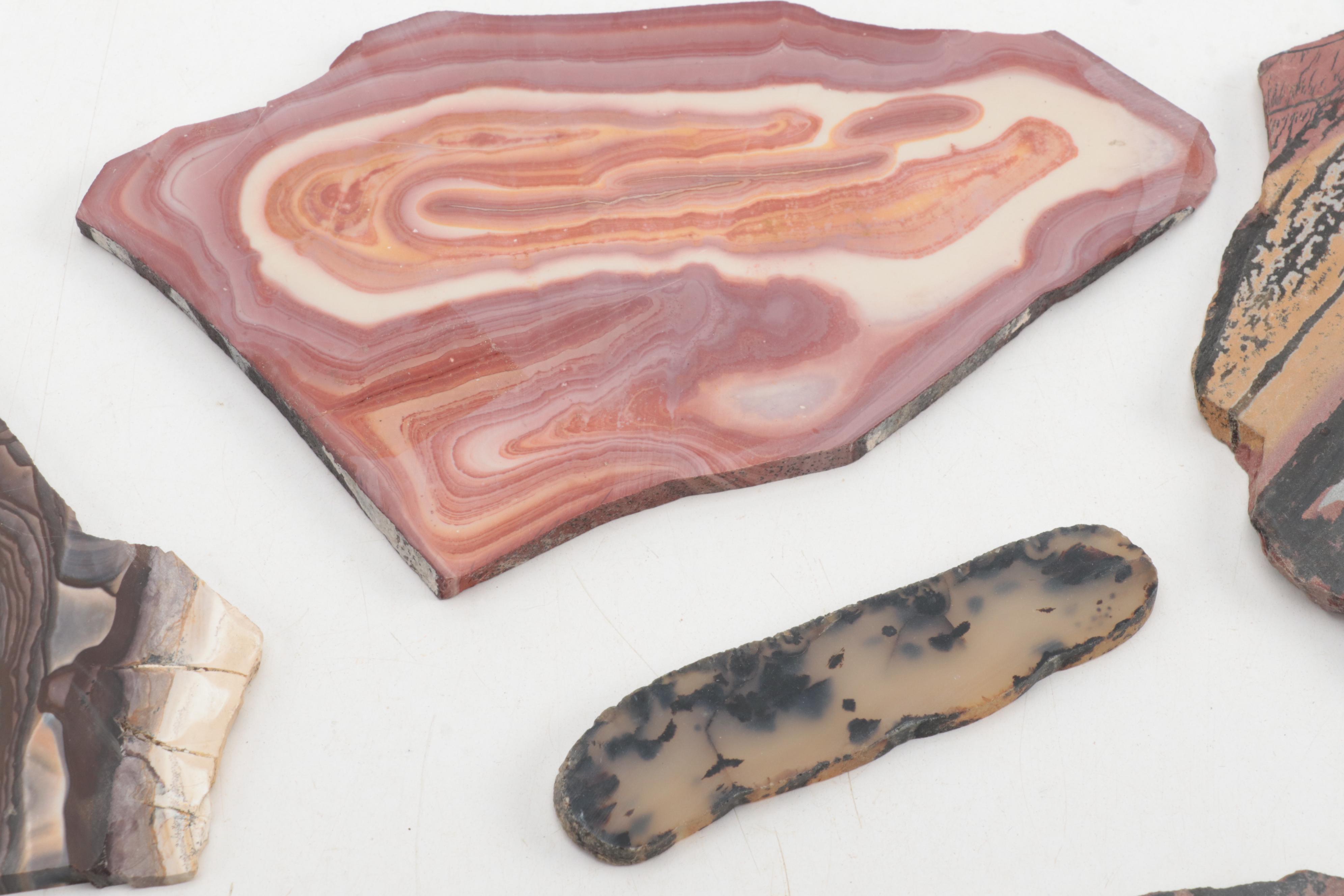 Death Valley Jasper, Rhodonite, Agate and Other Mineral Specimen Slices