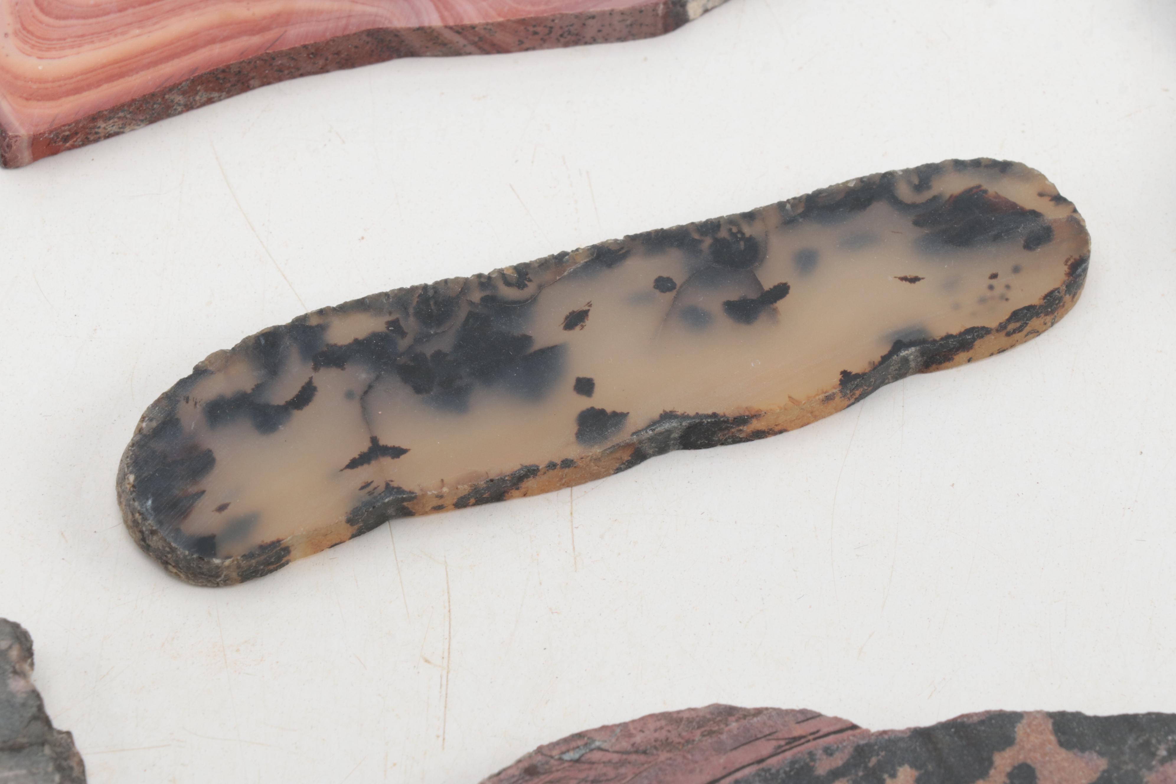 Death Valley Jasper, Rhodonite, Agate and Other Mineral Specimen Slices