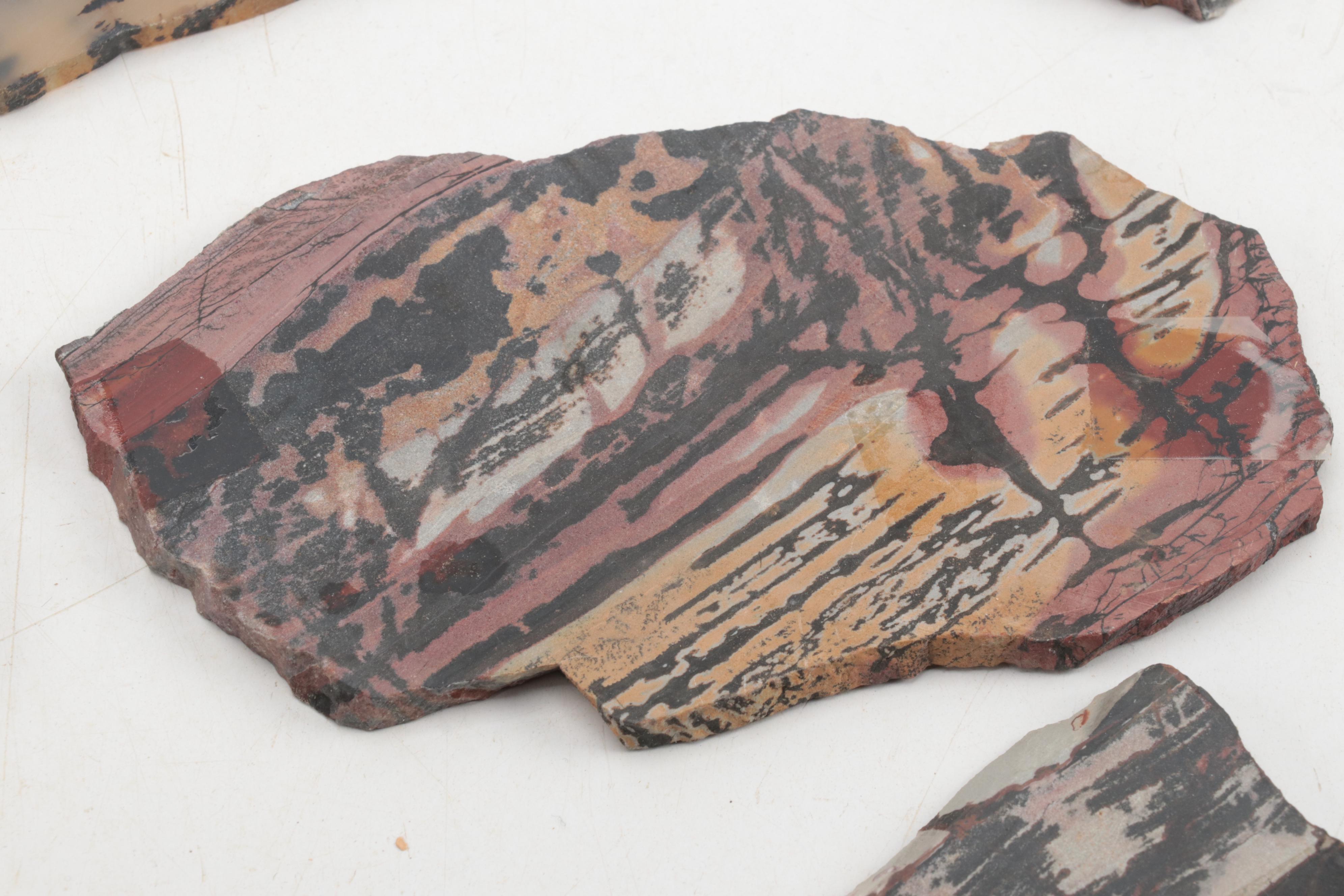 Death Valley Jasper, Rhodonite, Agate and Other Mineral Specimen Slices