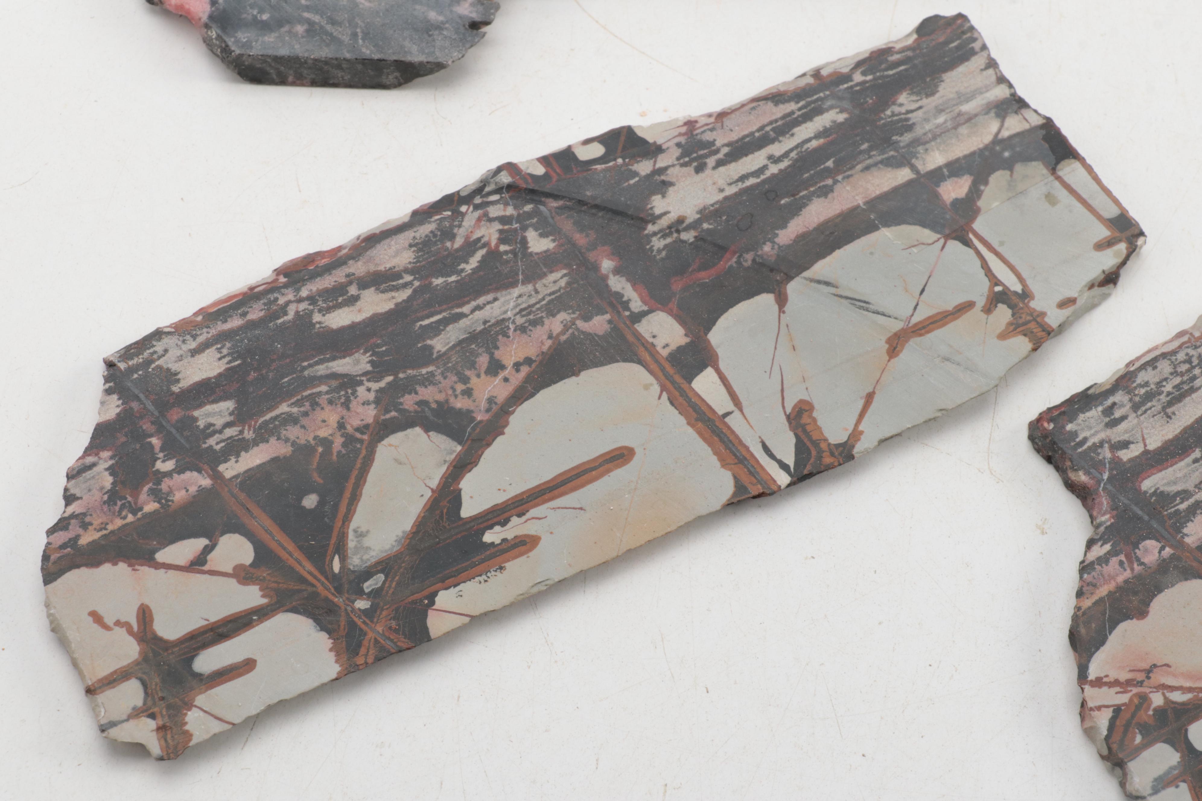 Death Valley Jasper, Rhodonite, Agate and Other Mineral Specimen Slices