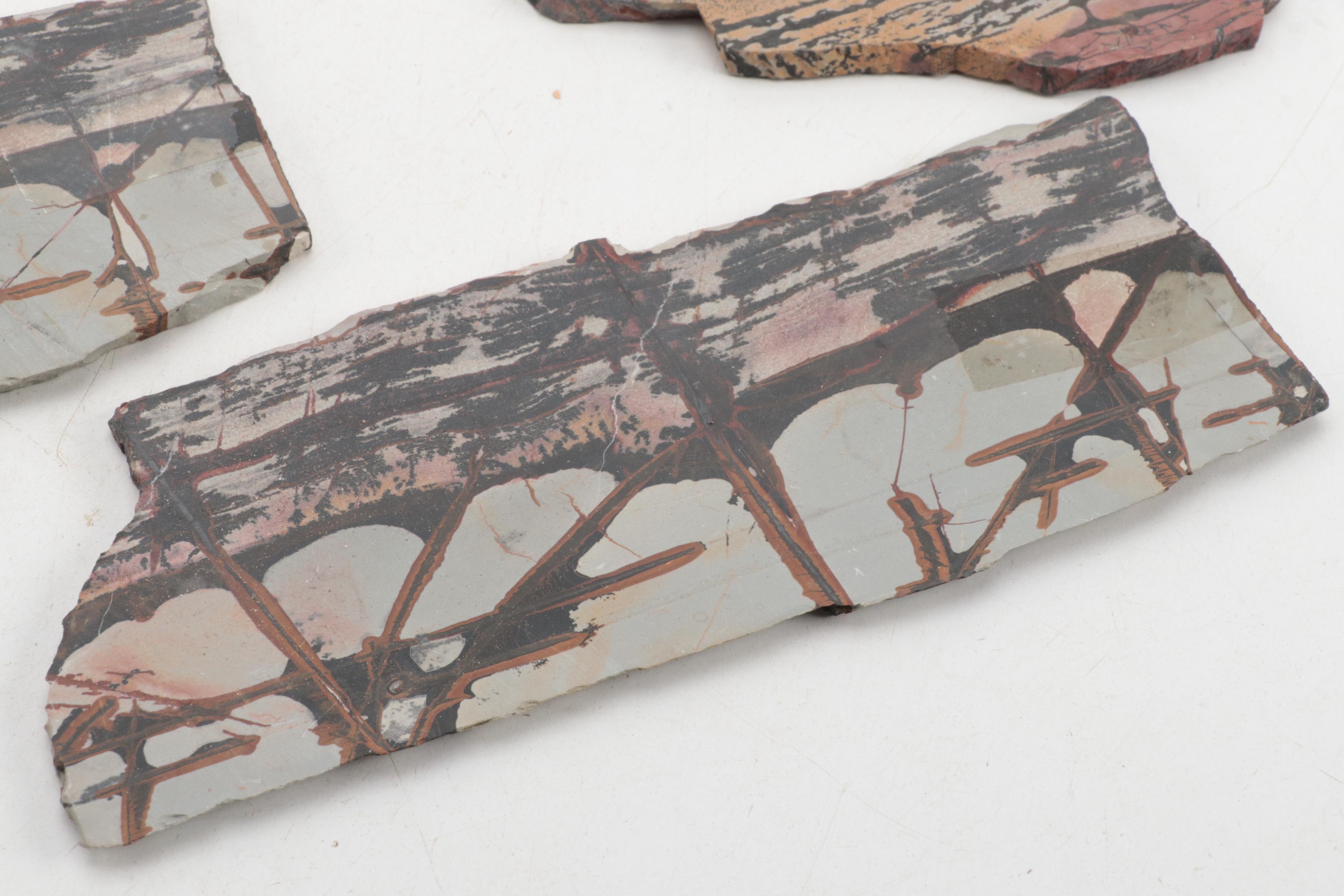 Death Valley Jasper, Rhodonite, Agate and Other Mineral Specimen Slices