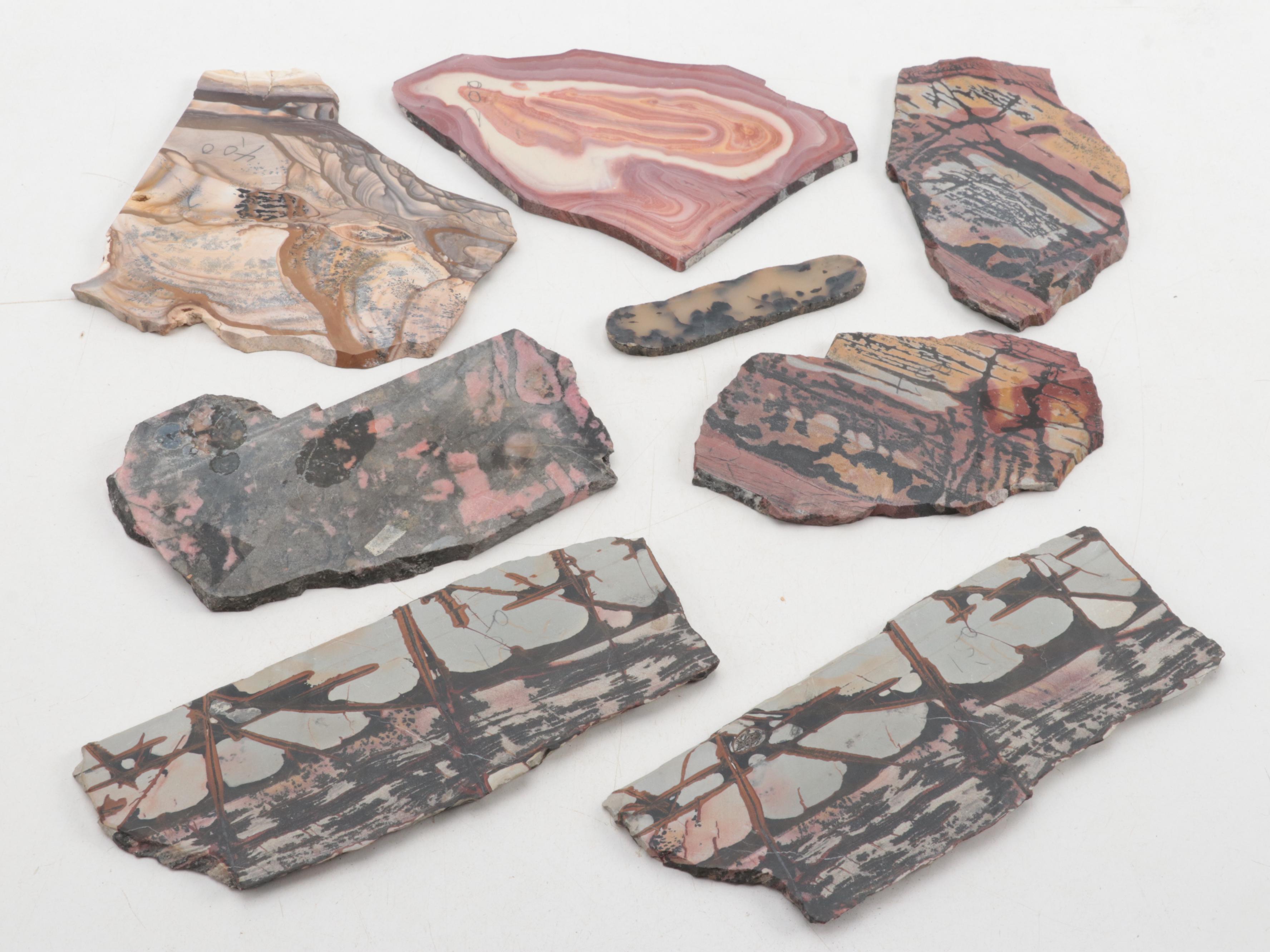 Death Valley Jasper, Rhodonite, Agate and Other Mineral Specimen Slices