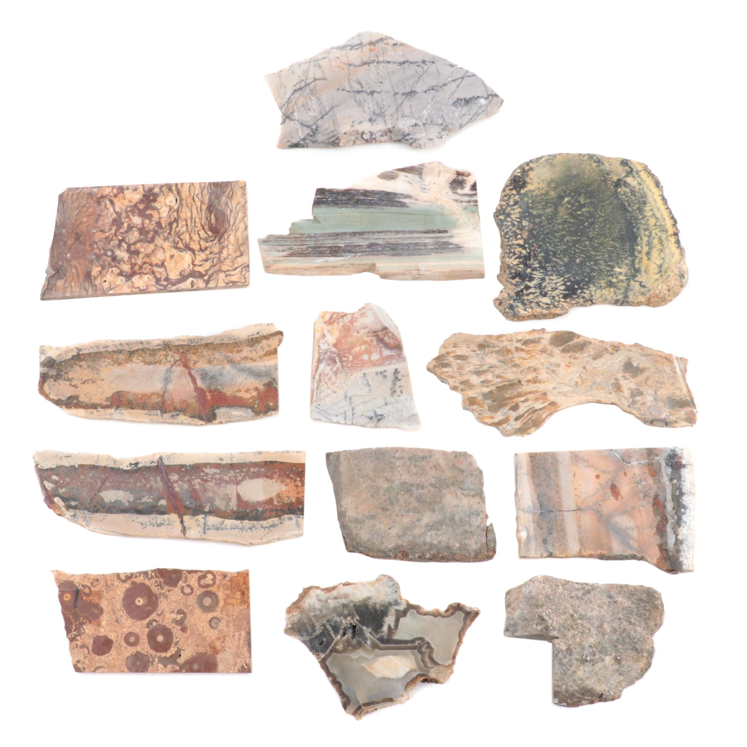 Jasper, Bauxite, Petrified Wood and Other Mineral Specimen Slices