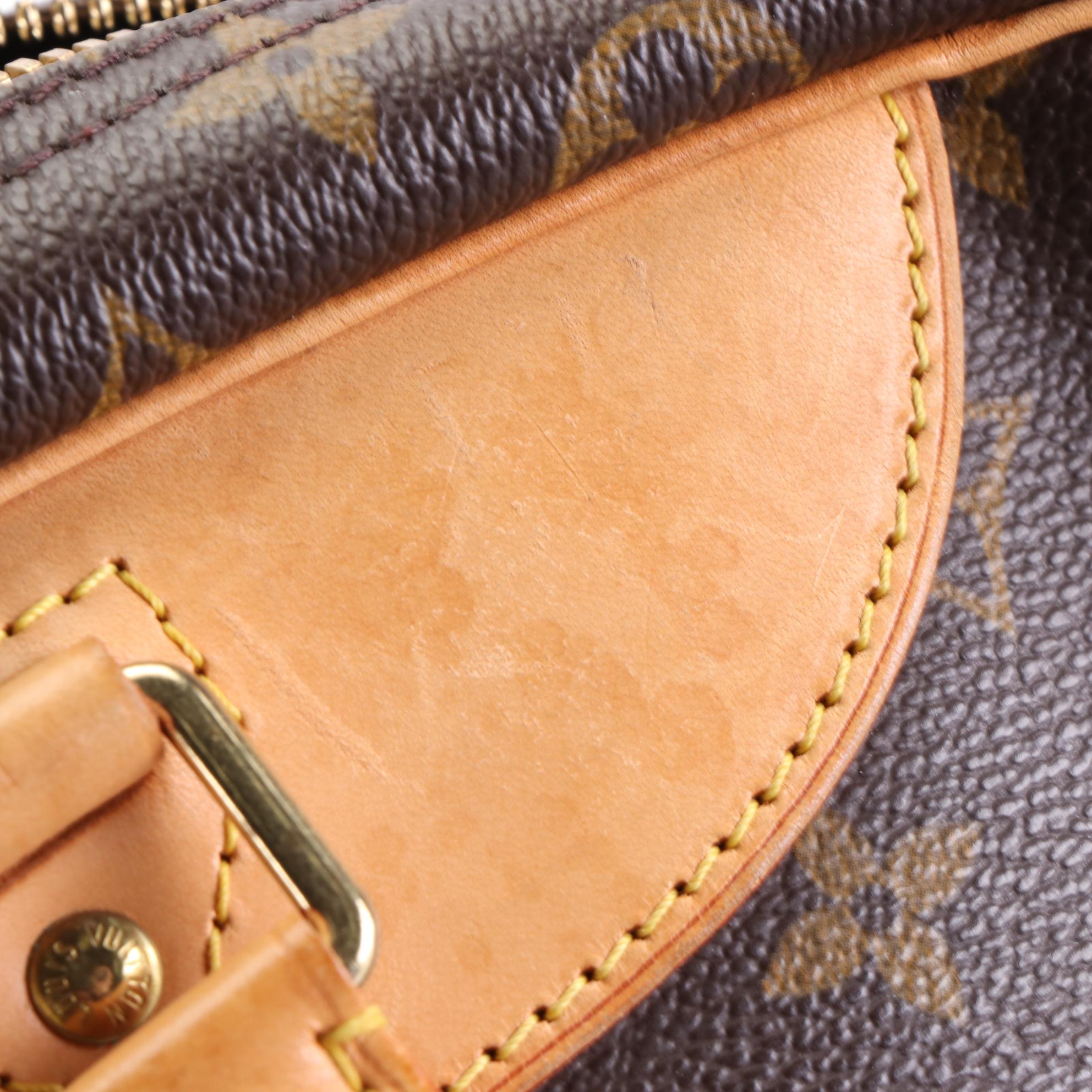 Louis Vuitton Alize Bag in Monogram Canvas