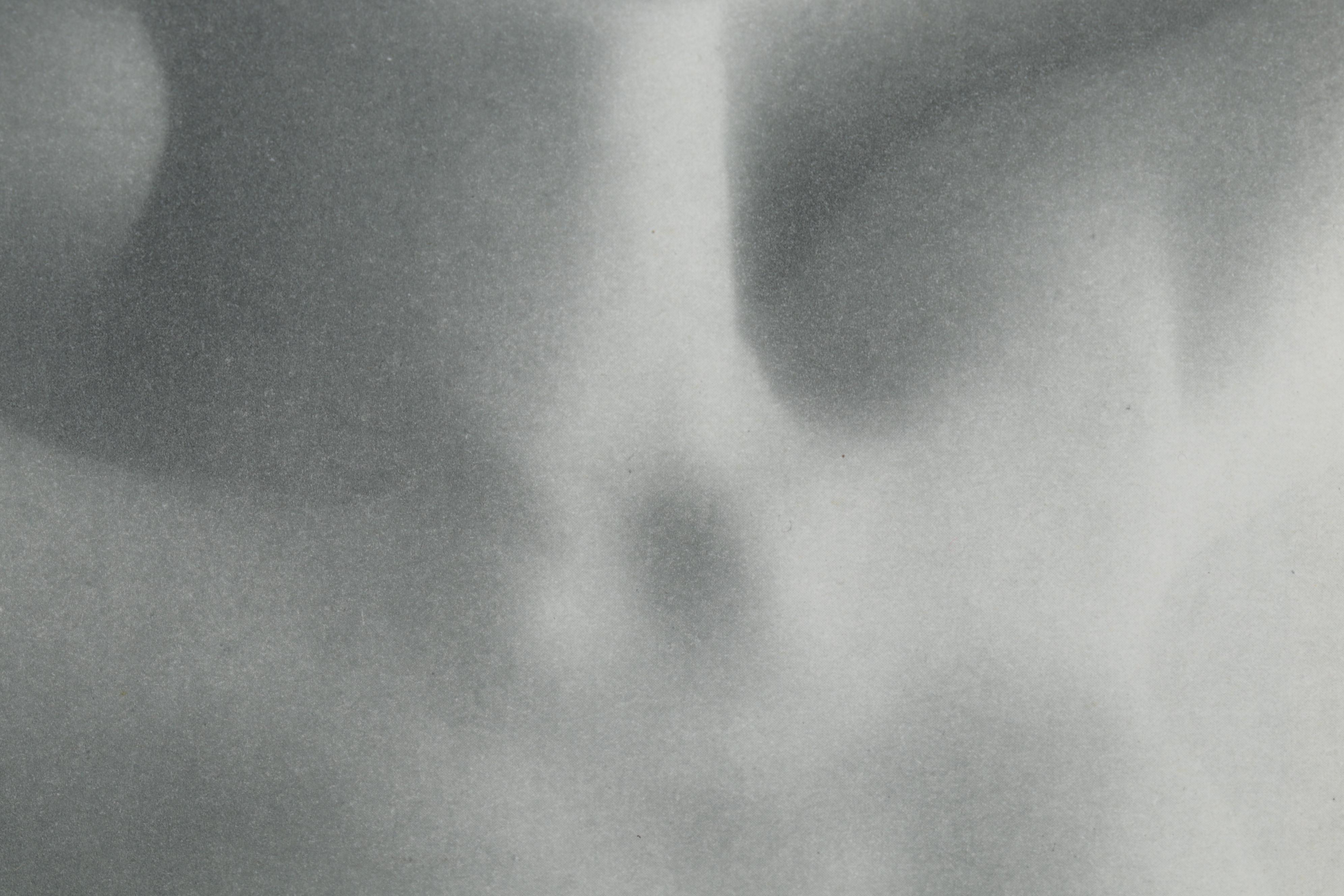 Rolf Winquist Rotogravure From "Le Nu International," 1954