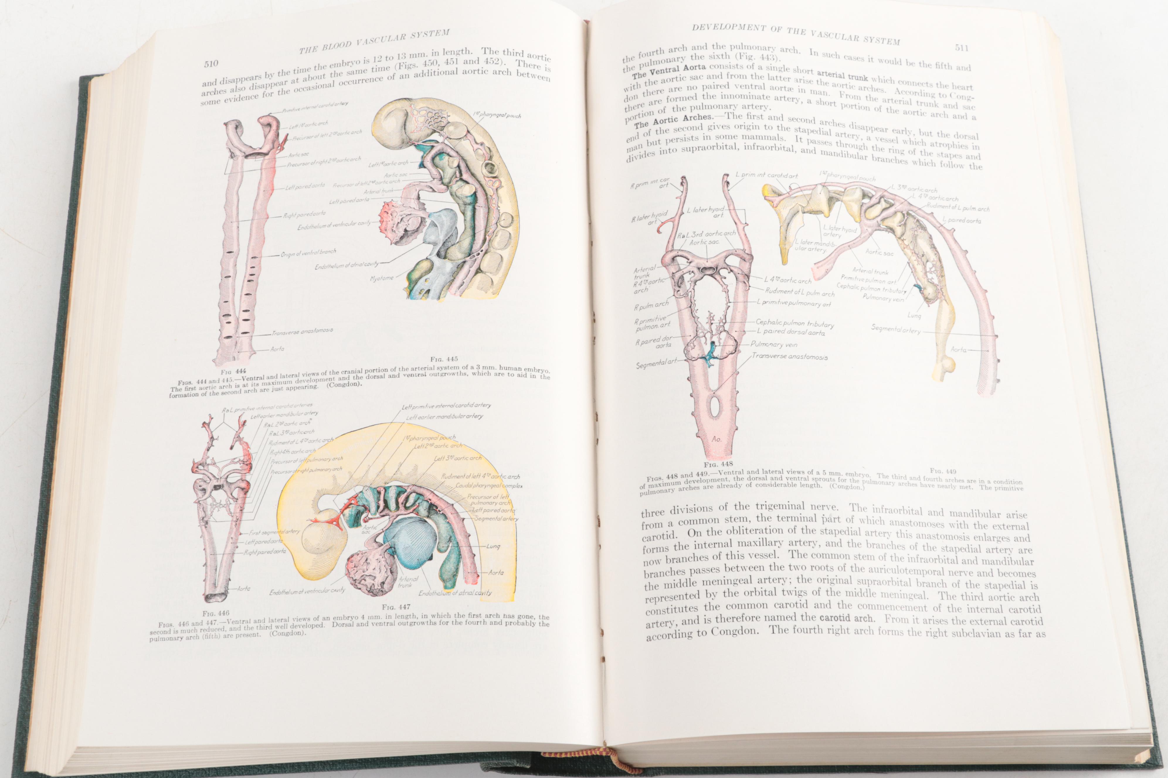 First Edition "Larousse Encyclopedia of Modern History" and More Nonfiction