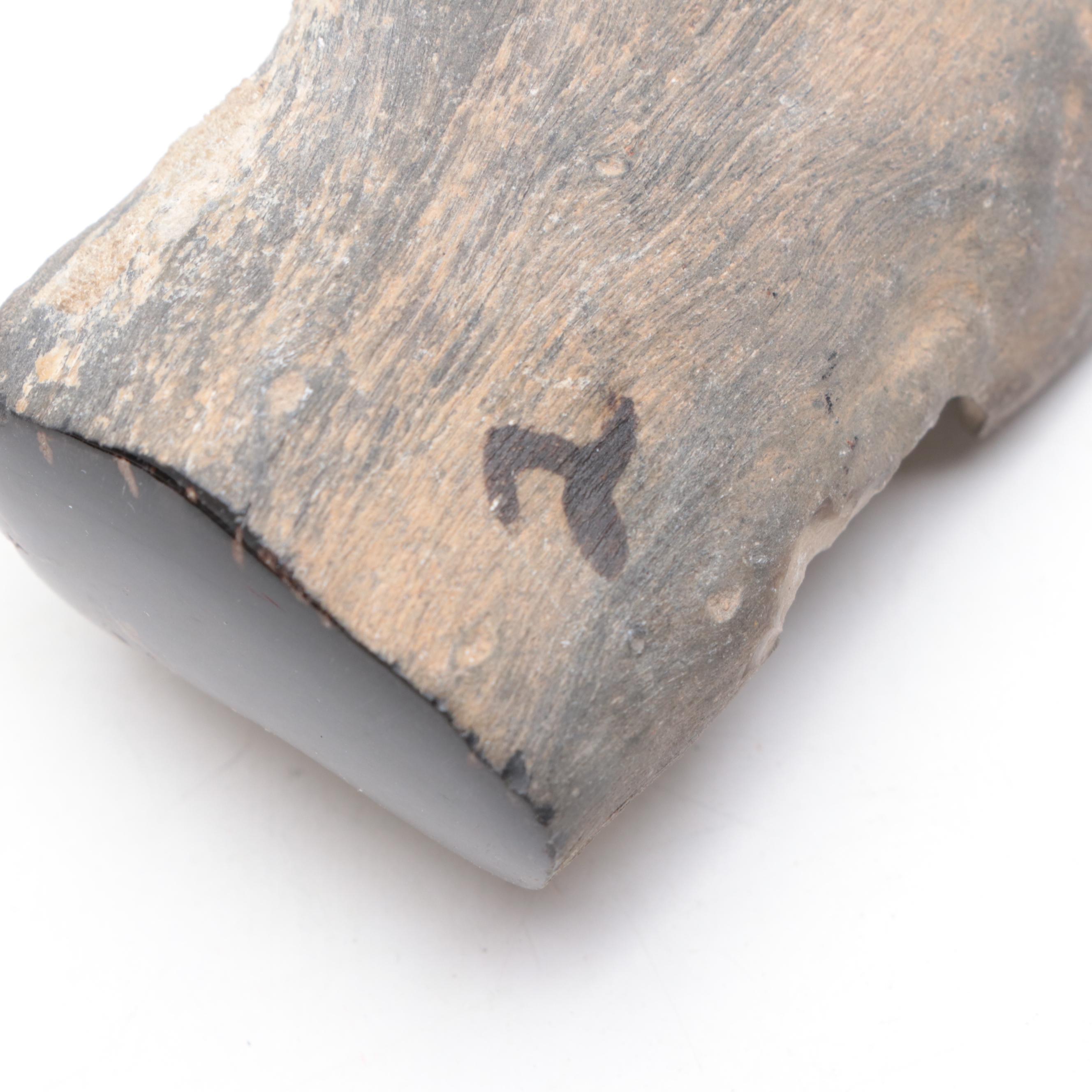 Polished and Rough Petrified Wood, Jasper, and Other Natural Specimens