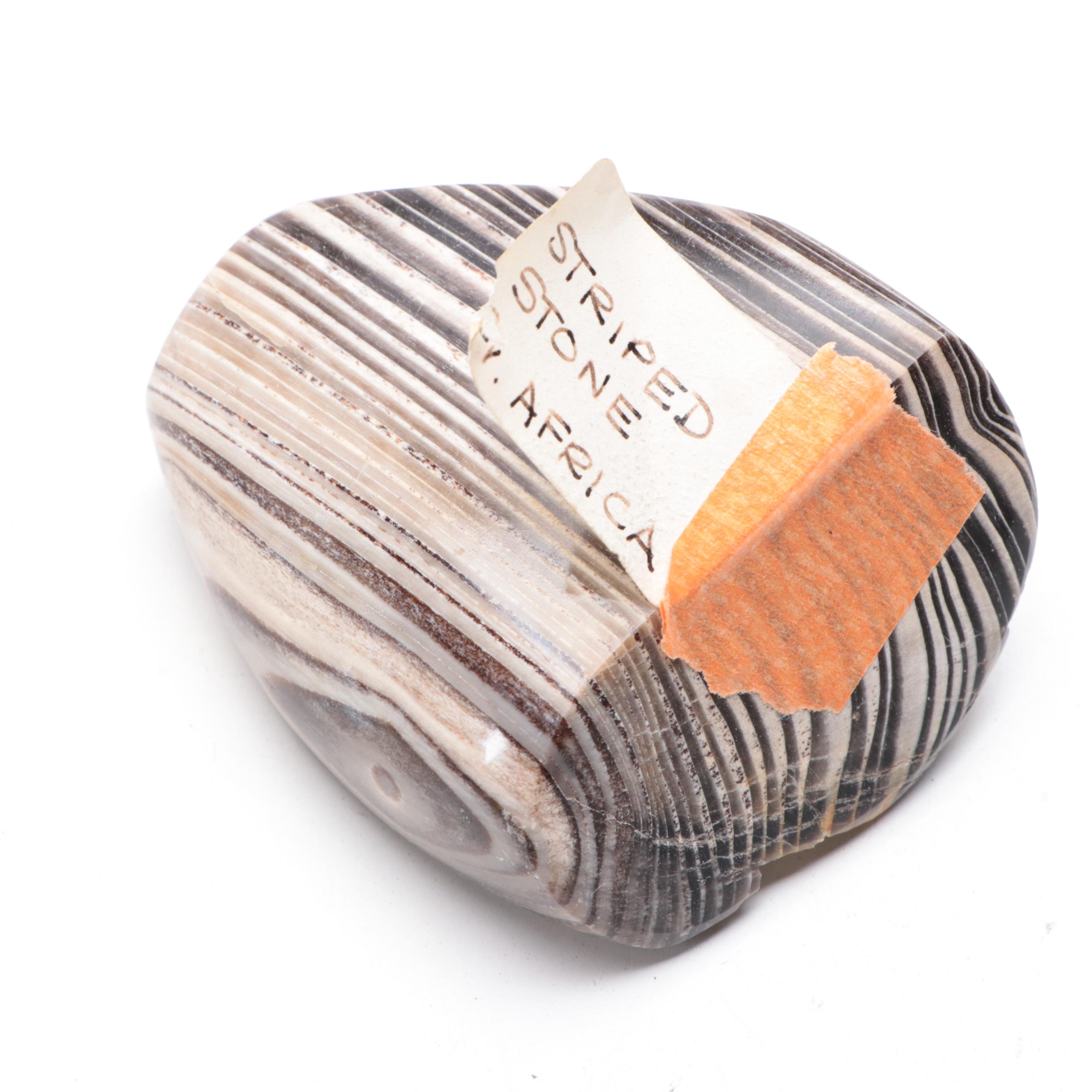 Polished and Rough Petrified Wood, Jasper, and Other Natural Specimens