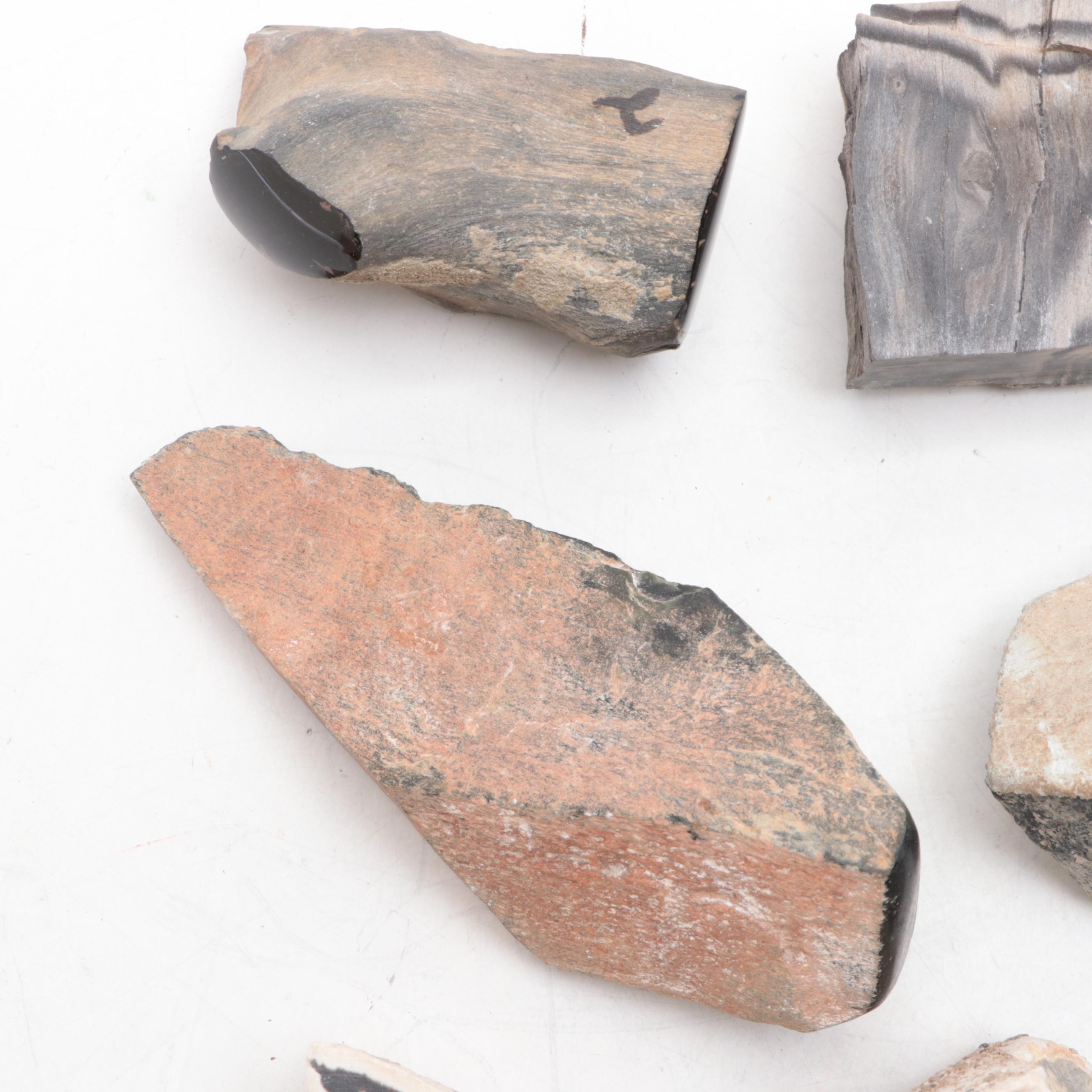 Polished and Rough Petrified Wood, Jasper, and Other Natural Specimens