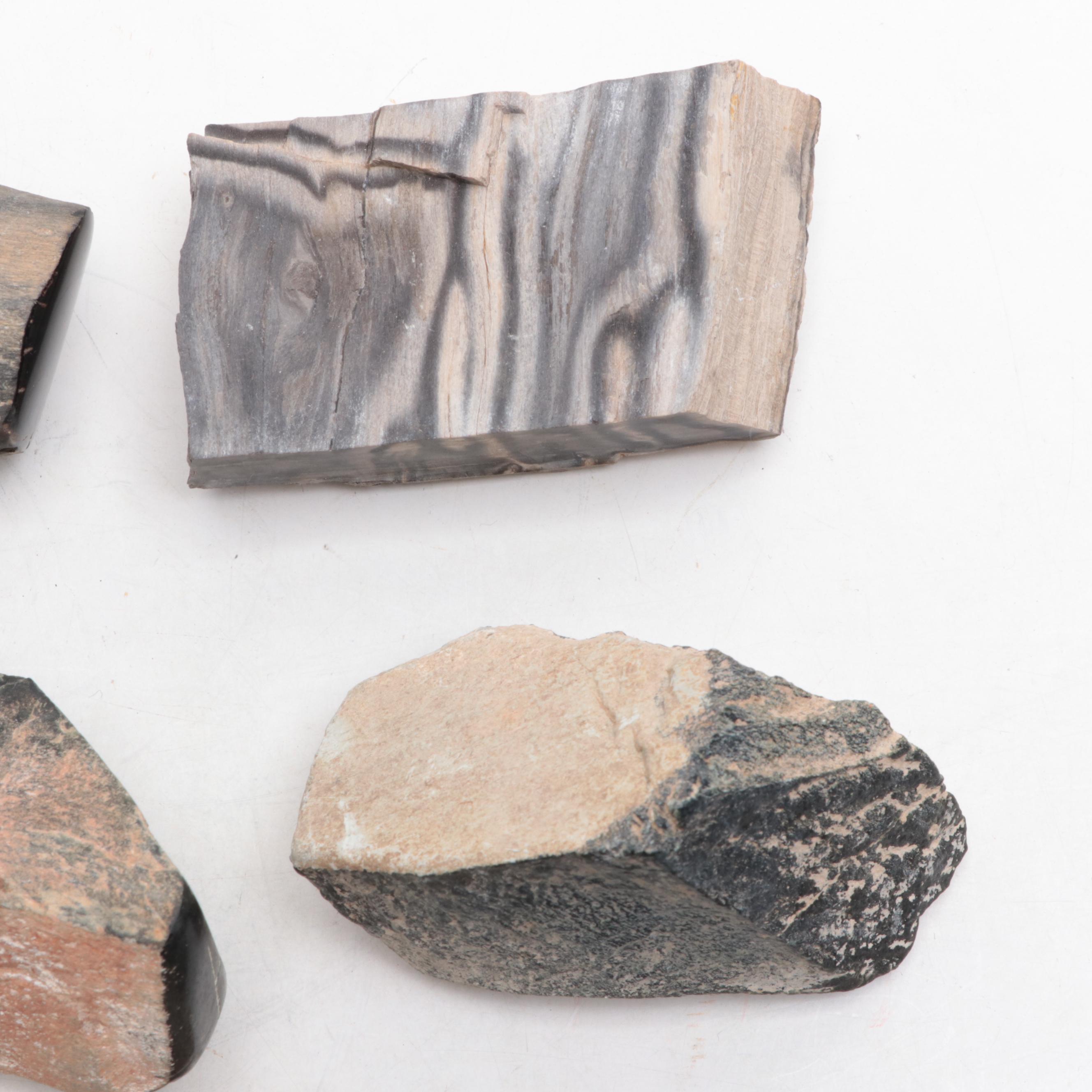 Polished and Rough Petrified Wood, Jasper, and Other Natural Specimens
