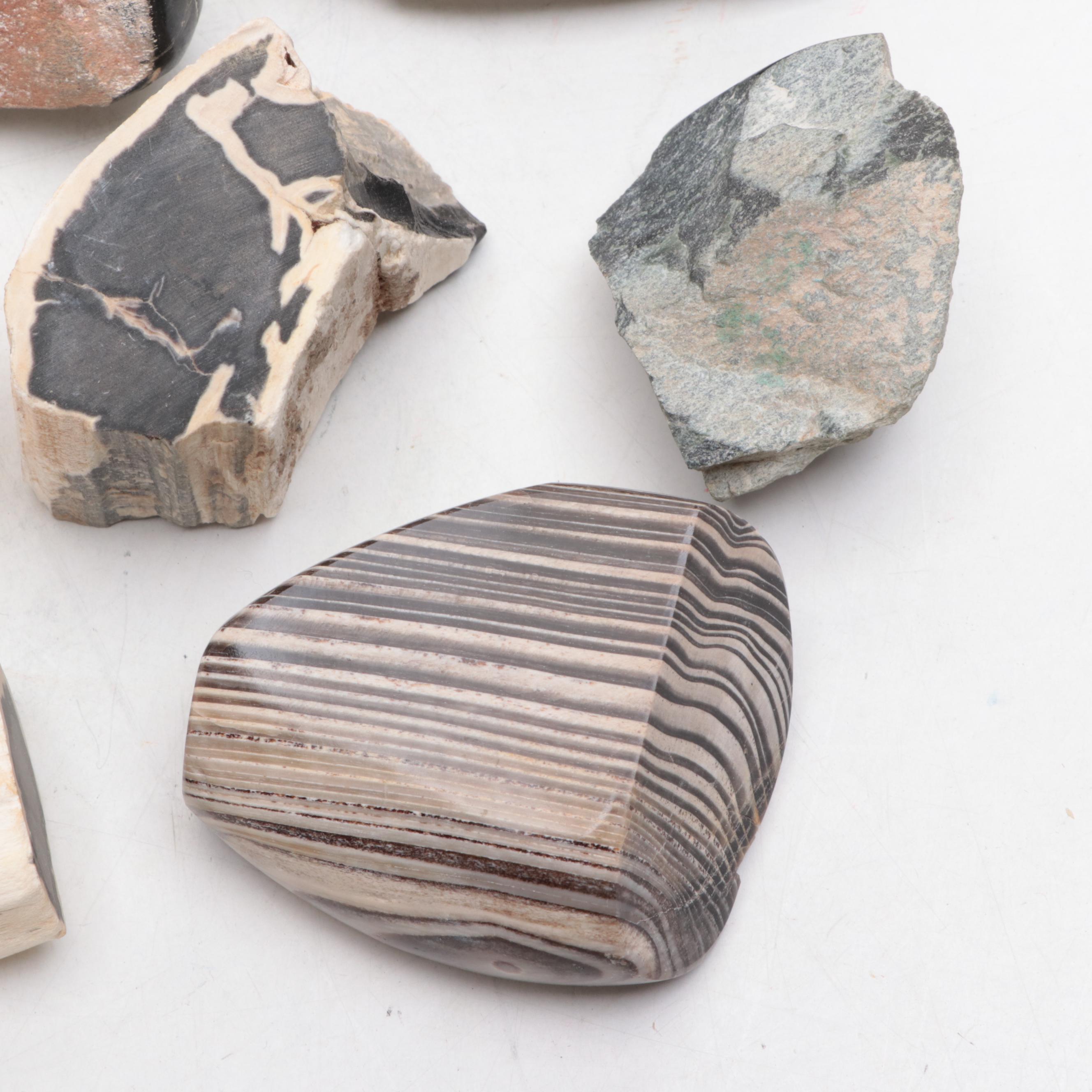 Polished and Rough Petrified Wood, Jasper, and Other Natural Specimens