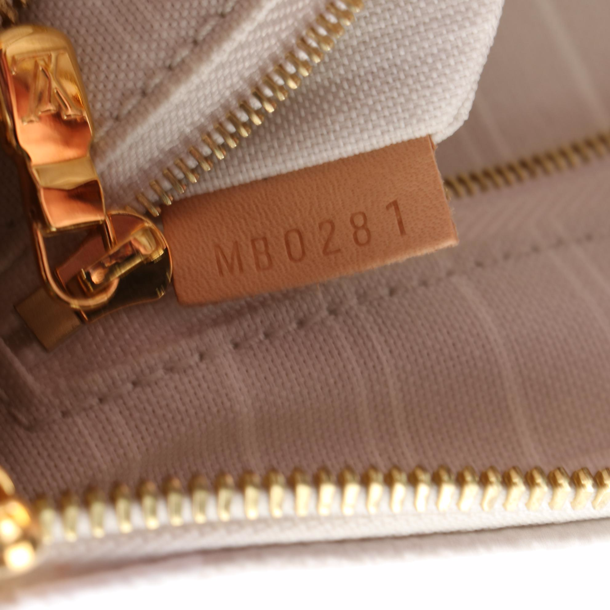 Louis Vuitton By The Pool Speedy Bandouliére 25 in Monogram Canvas and Leather