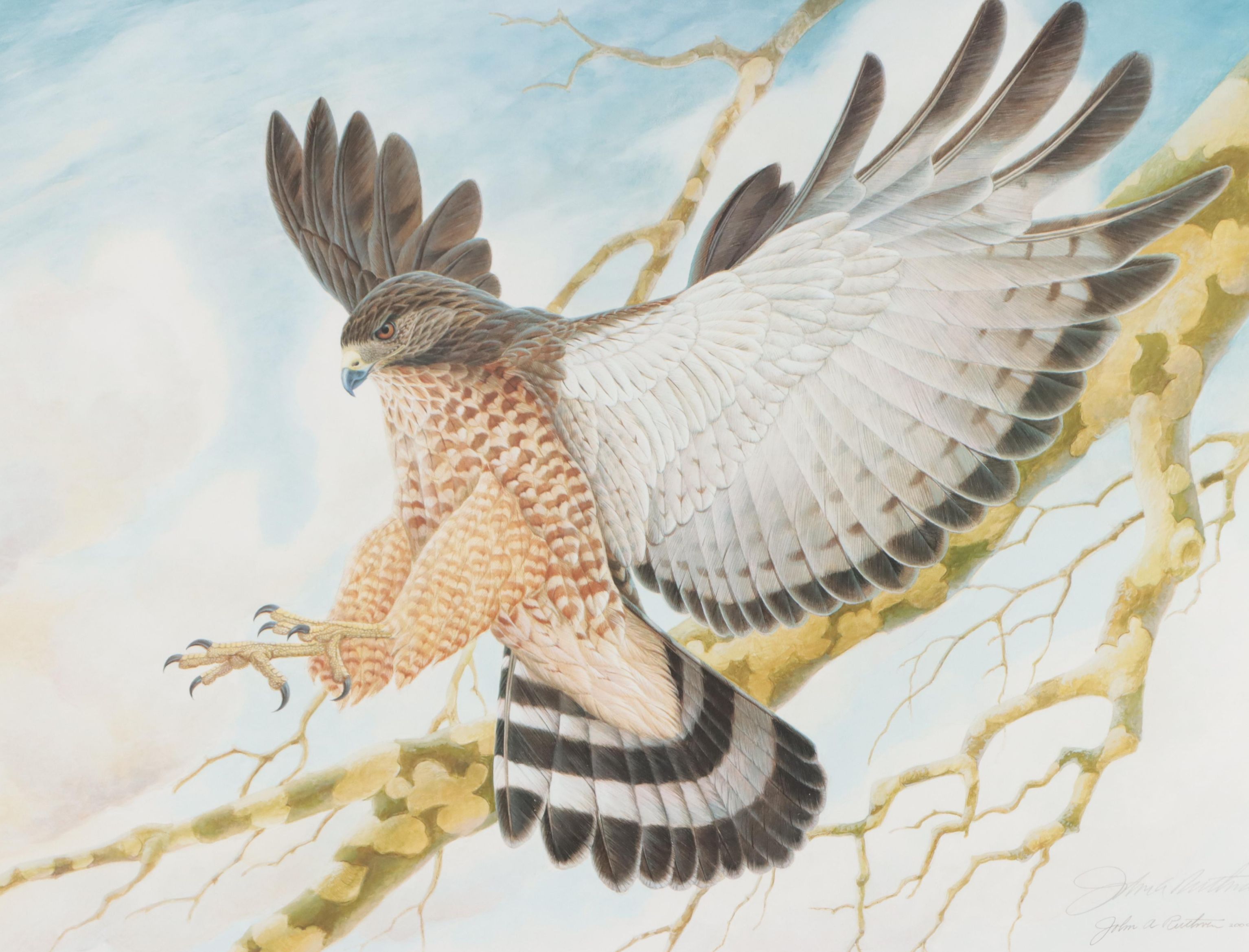 John A. Ruthven Offset Lithograph "Broadwing"