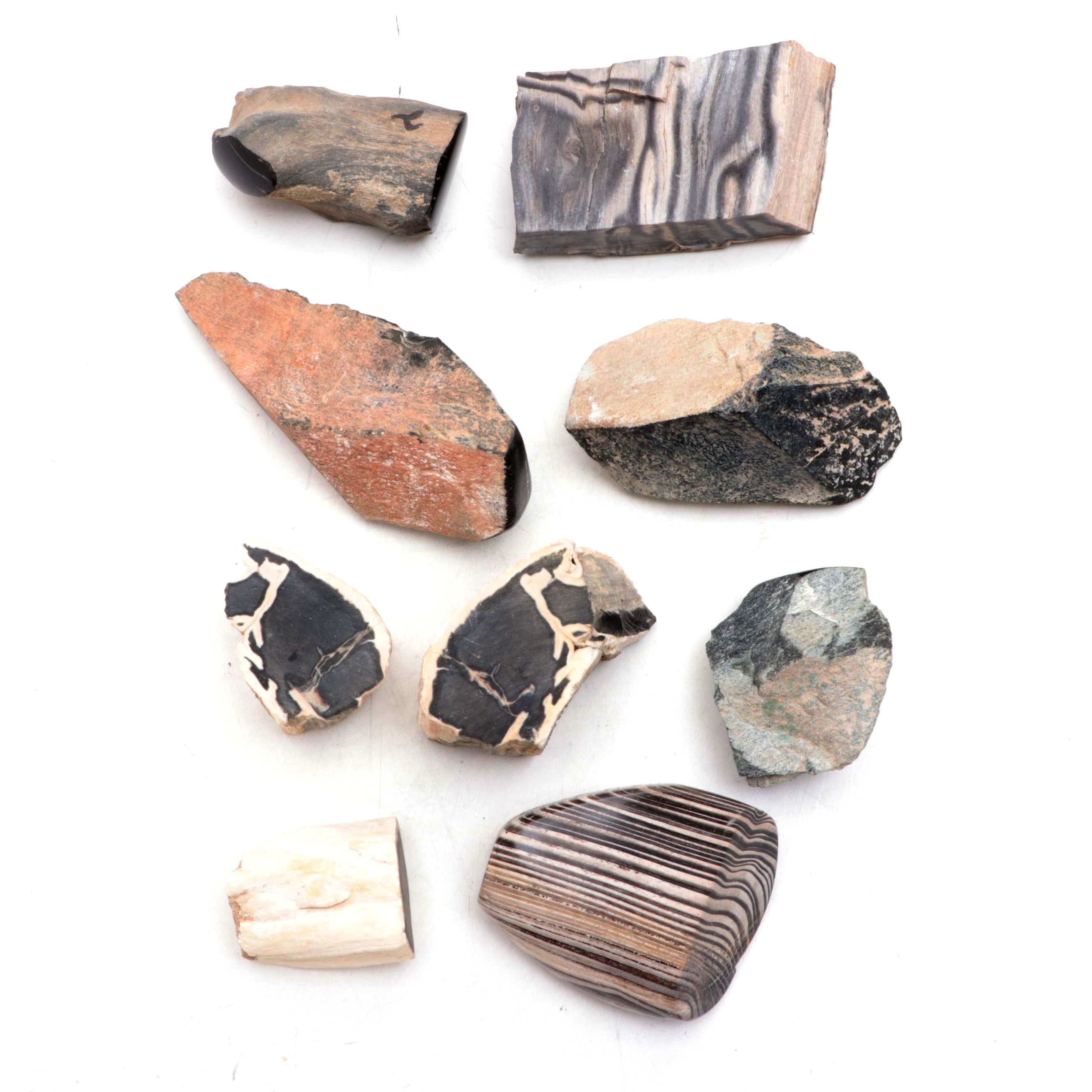 Polished and Rough Petrified Wood, Jasper, and Other Natural Specimens