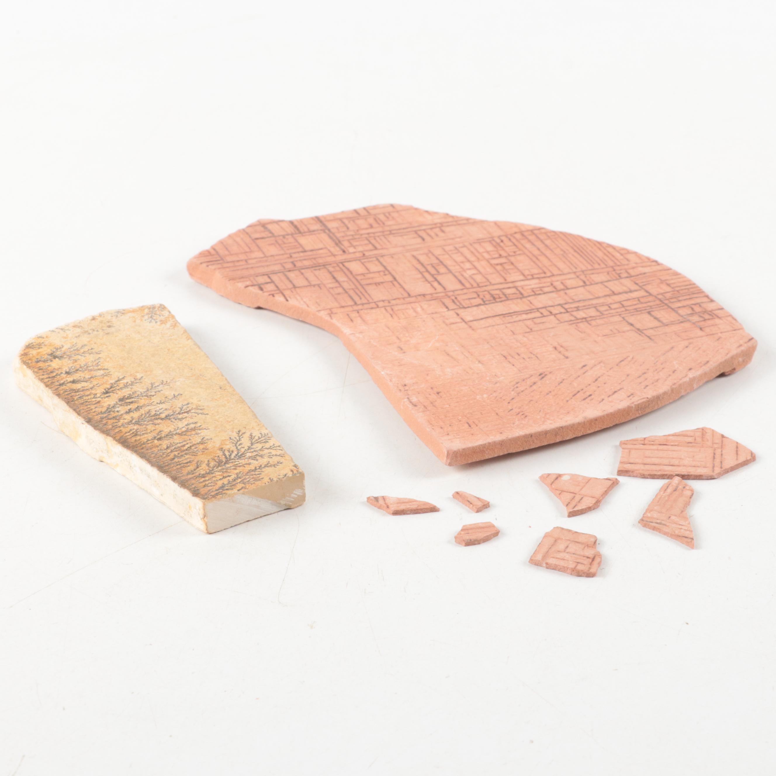 Siltstone Maprock and Plant Fossil Fragments