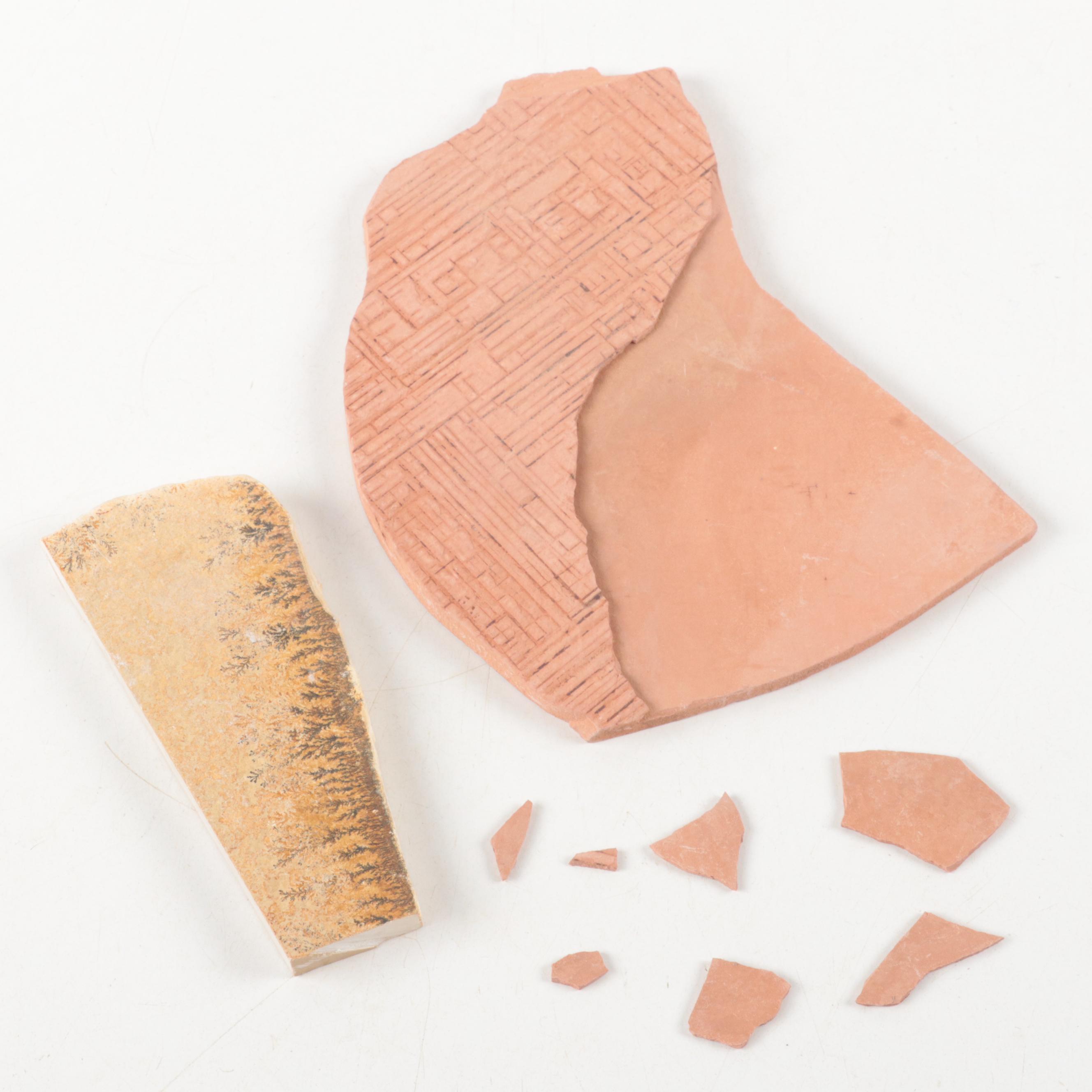 Siltstone Maprock and Plant Fossil Fragments