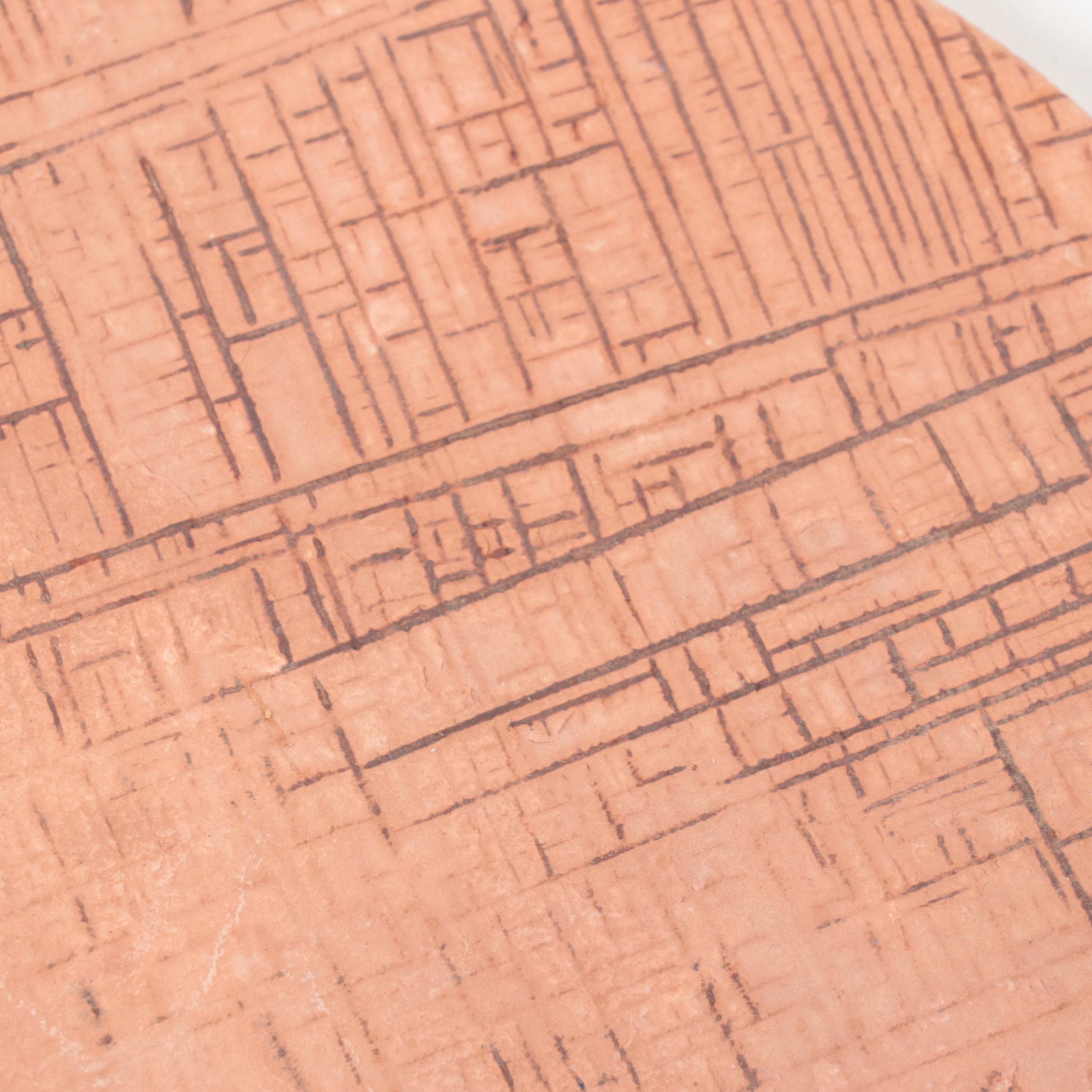 Siltstone Maprock and Plant Fossil Fragments