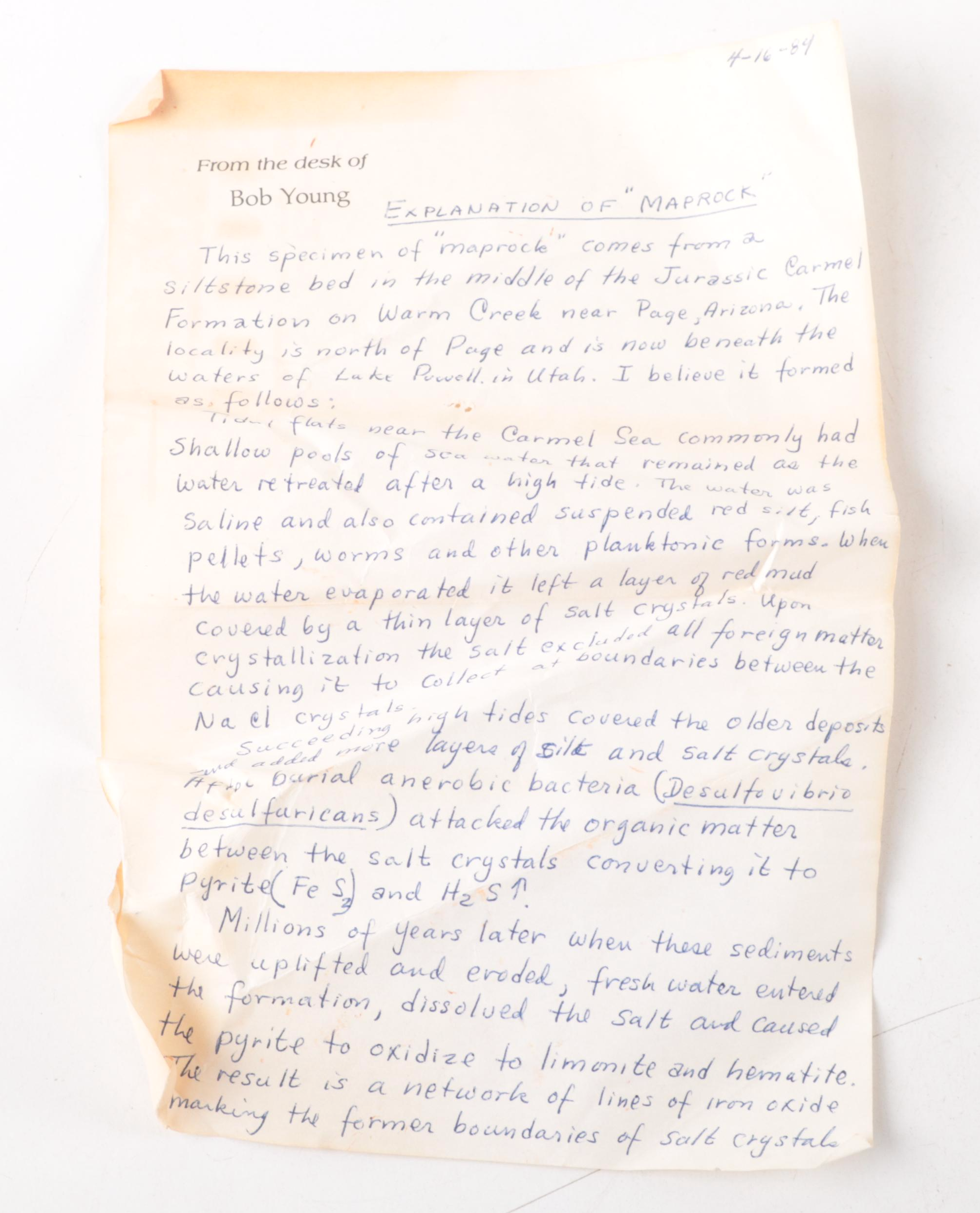 Siltstone Maprock and Plant Fossil Fragments