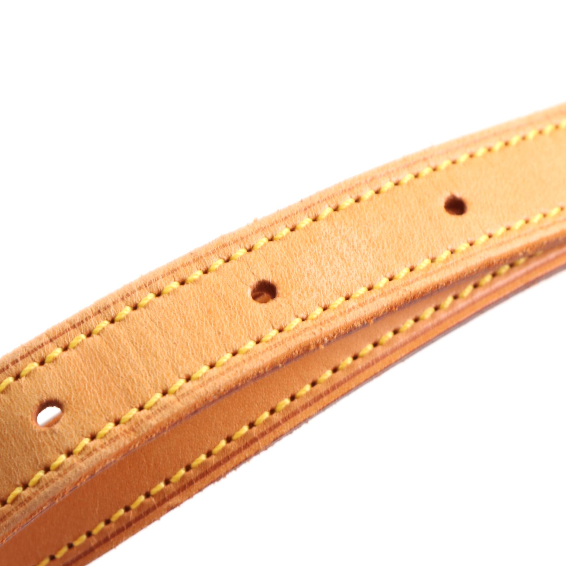 Louis Vuitton Musette Salsa PM Bag in Monogram Canvas