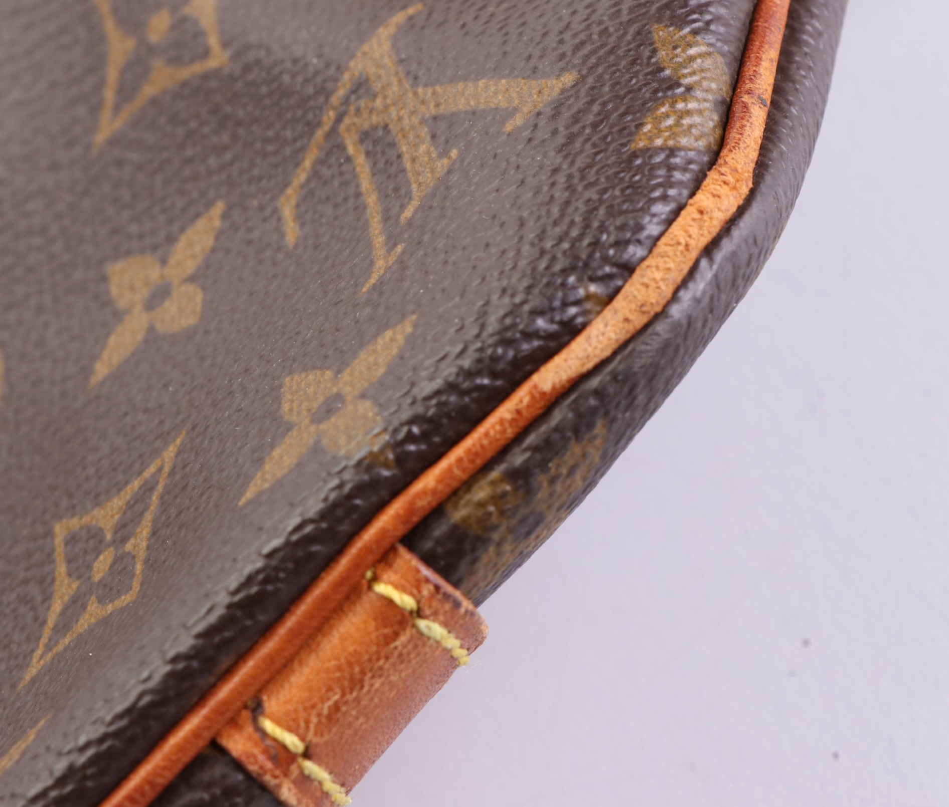 Louis Vuitton Sac Shopping Tote in Monogram Canvas and Vachetta Leather