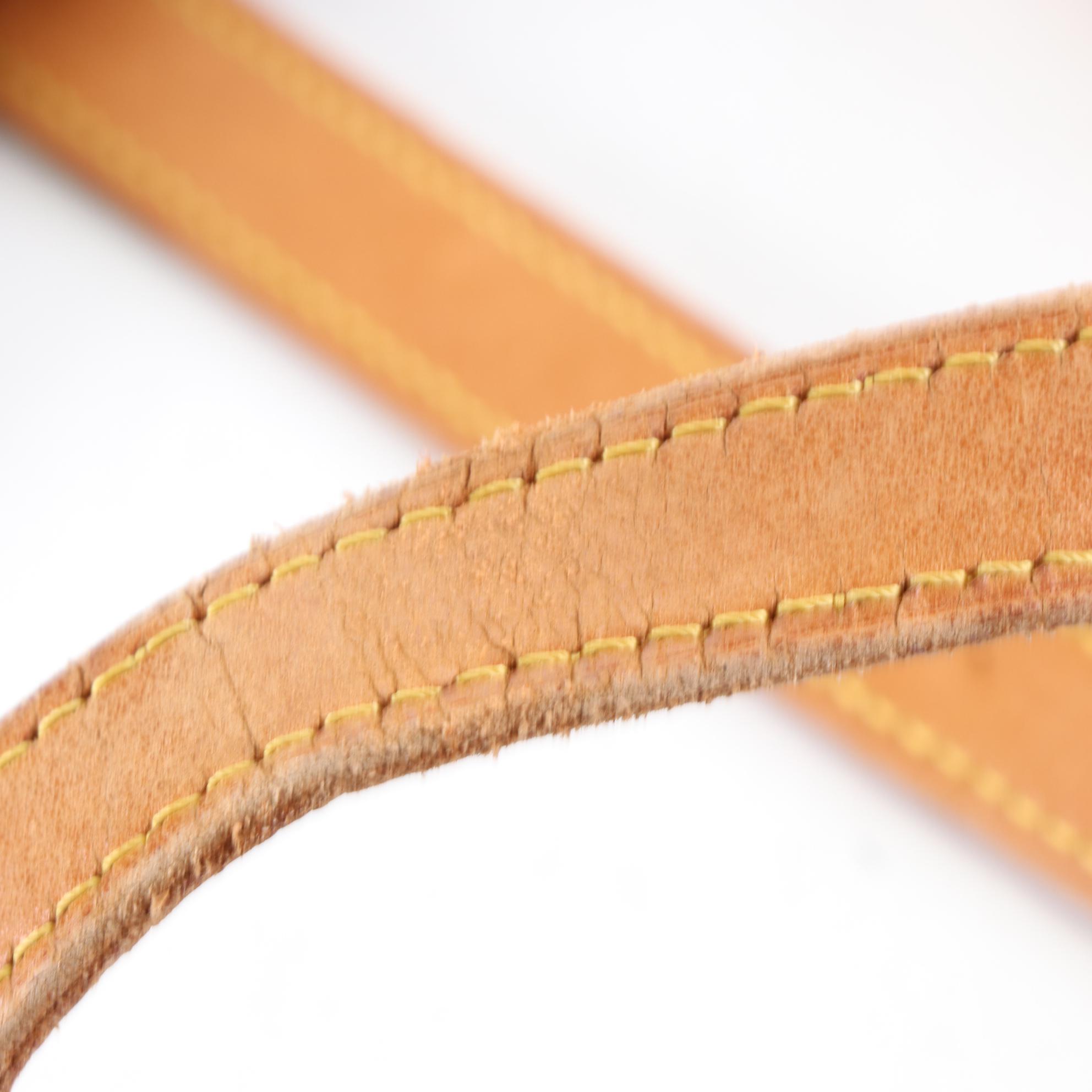 Louis Vuitton Sac Shopping Tote in Monogram Canvas and Vachetta Leather