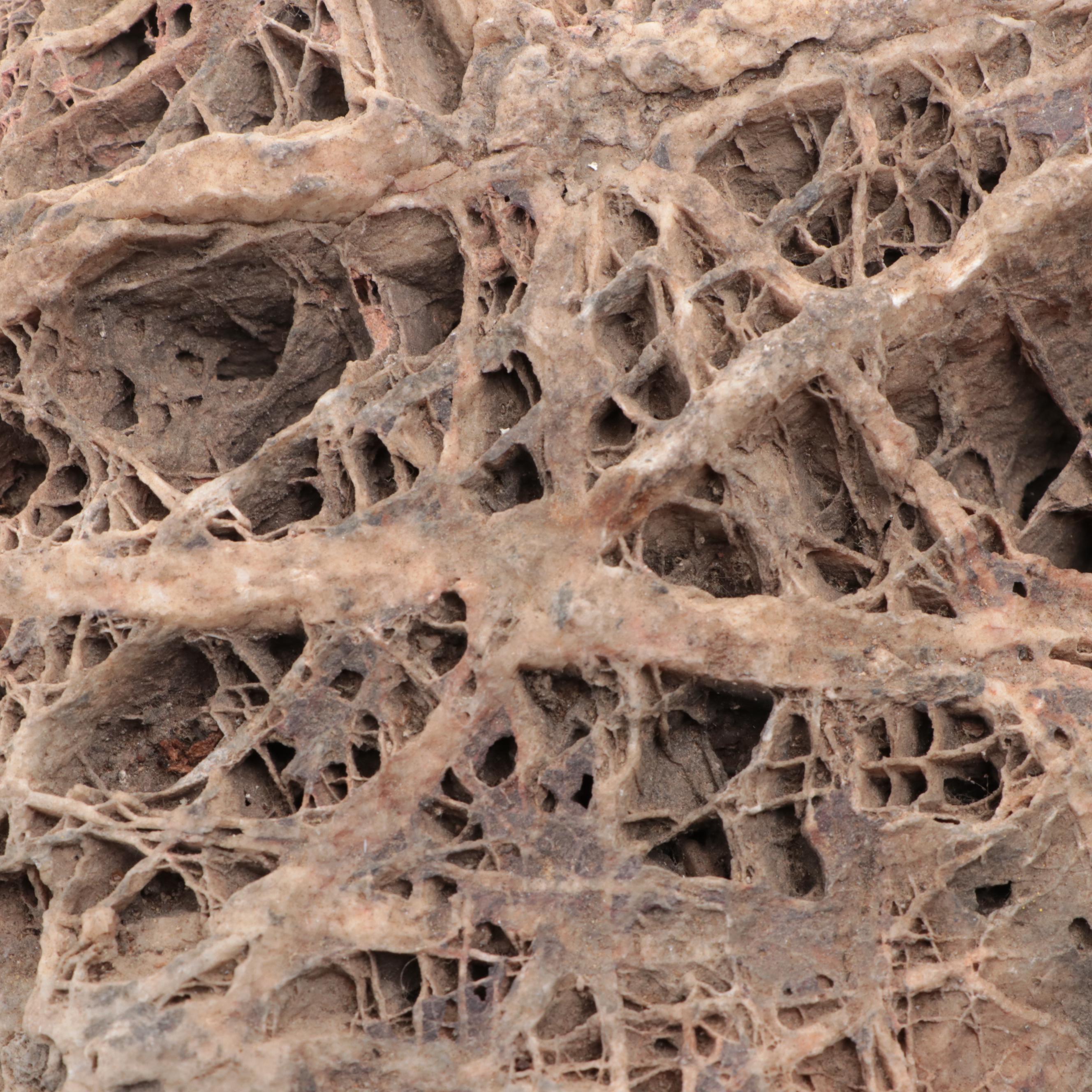 Calcite Boxwork Specimen