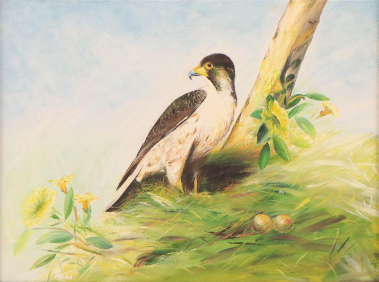 Haas Oil Painting "Peregrine Falcon"