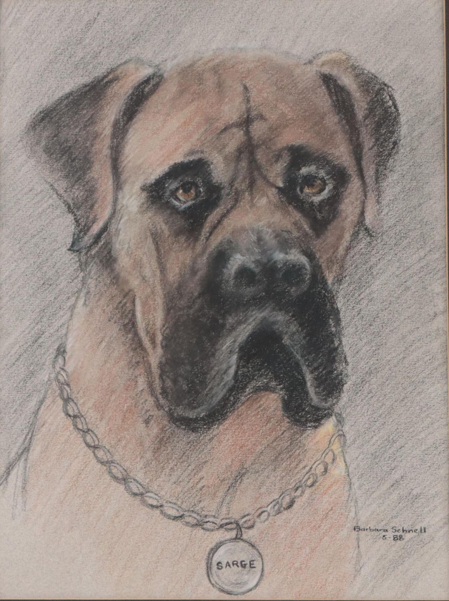 Barbara Schnell Pastel Portrait of Sarge, 1988