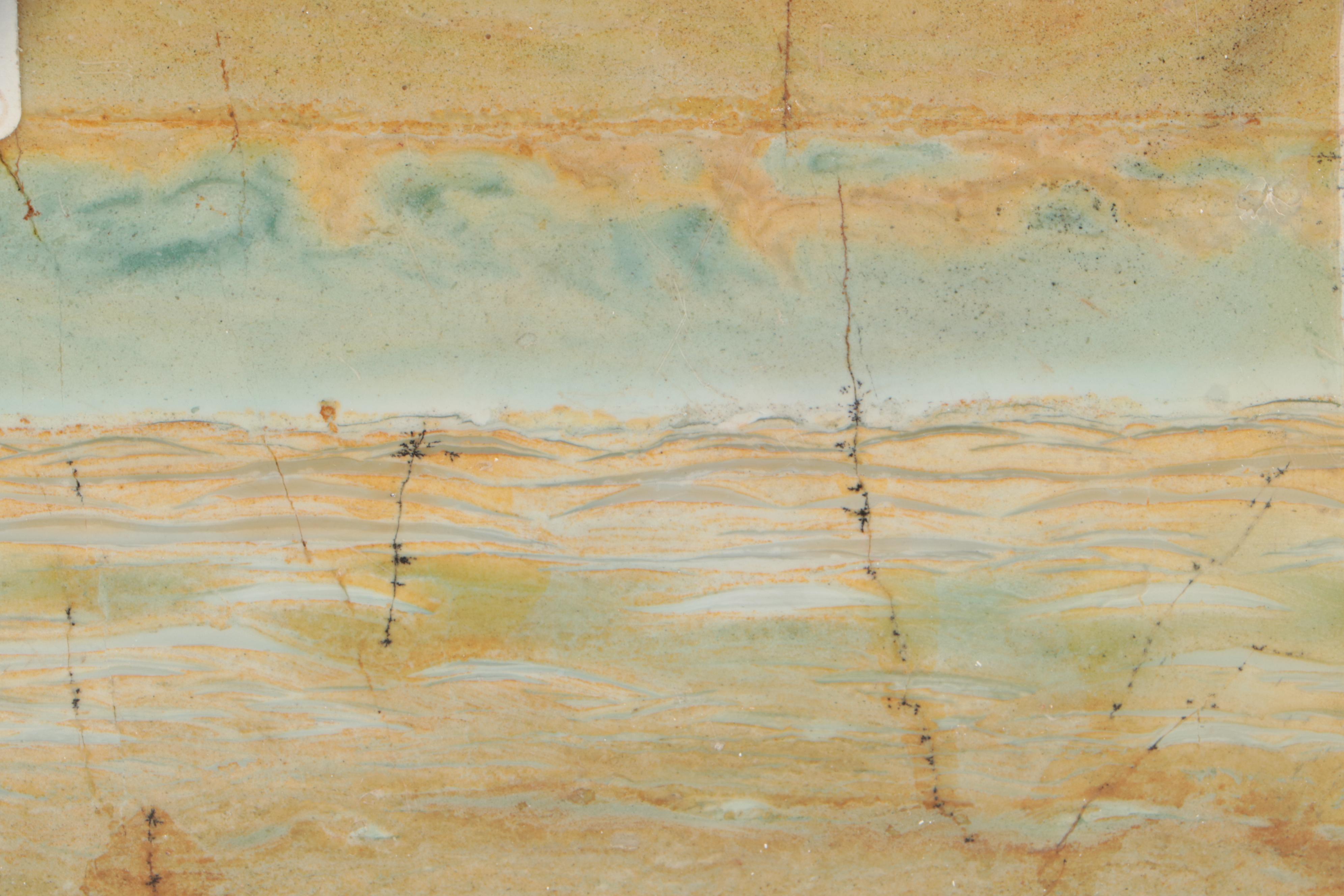 Polished Polychrome Petrified Wood Specimen