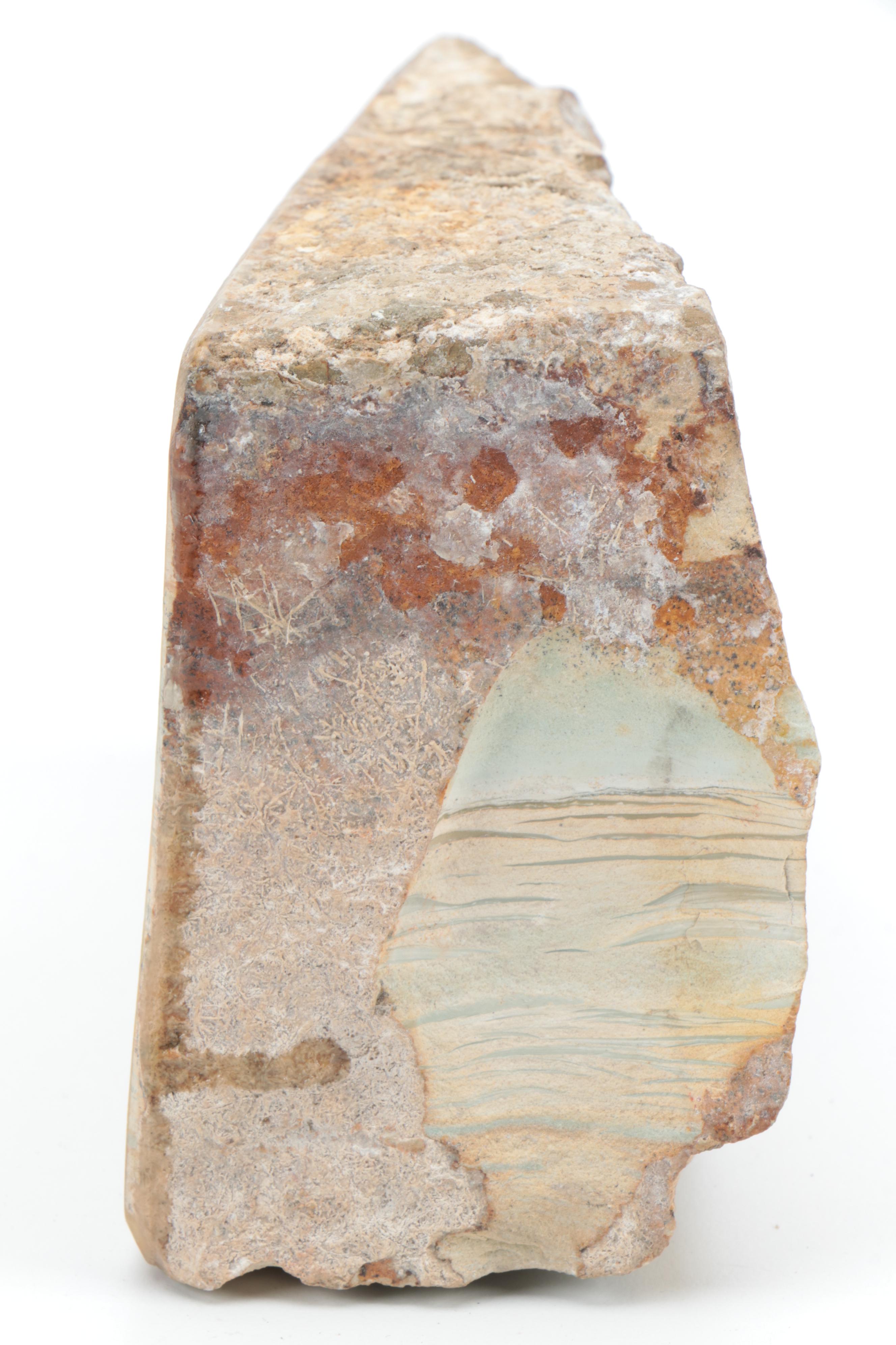 Polished Polychrome Petrified Wood Specimen