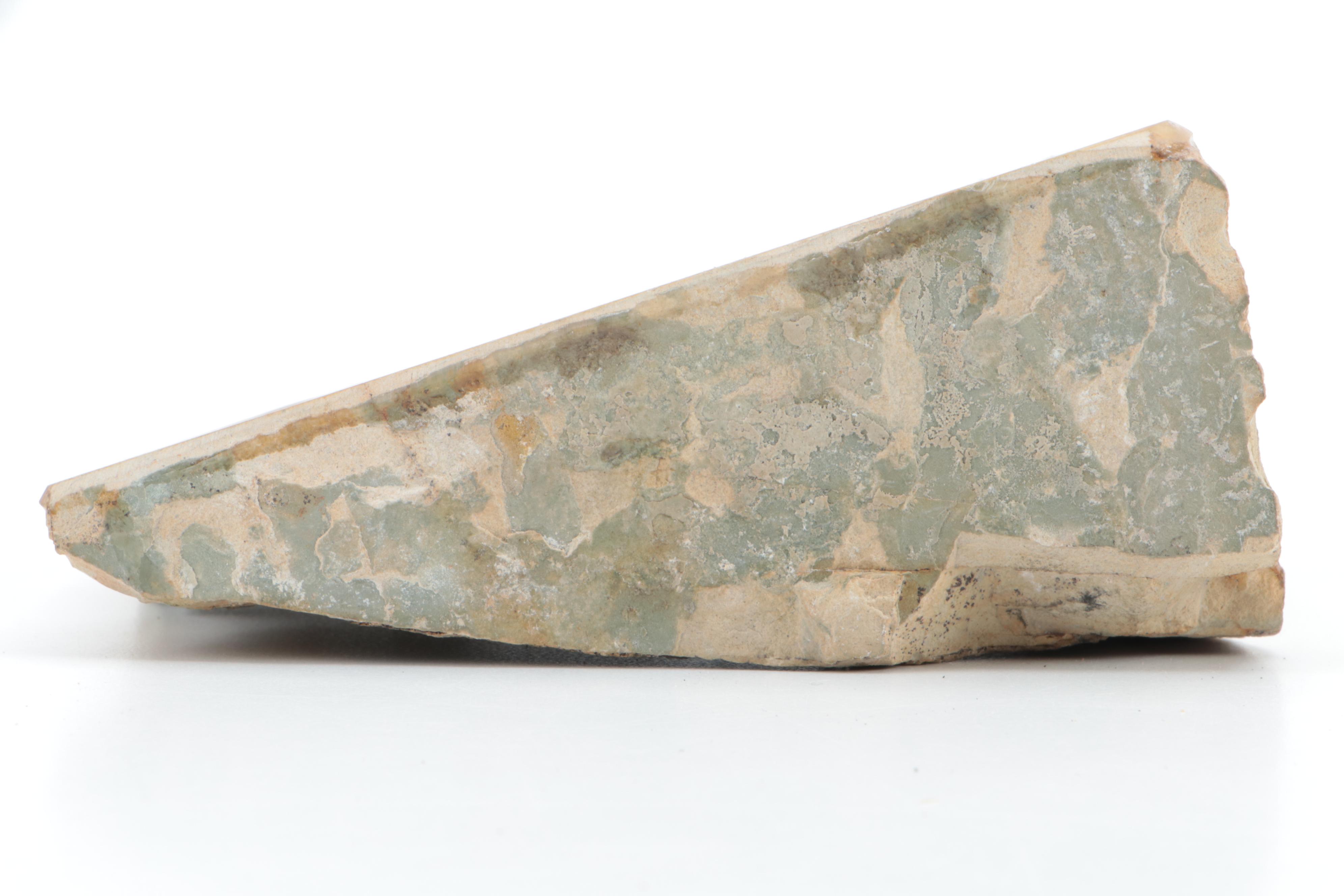 Polished Polychrome Petrified Wood Specimen