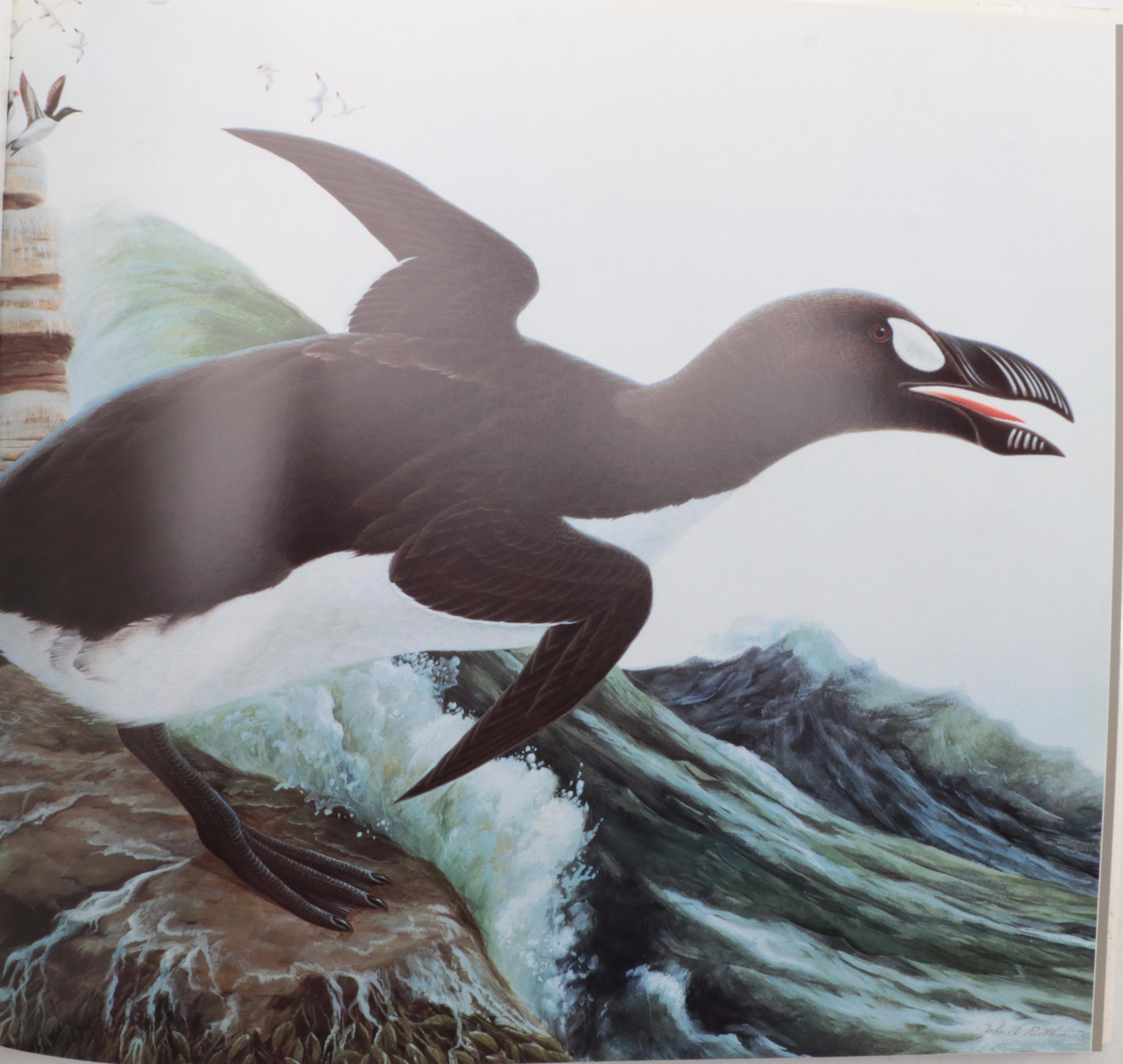 Signed "In the Audubon Tradition" by John A. Ruthven, 1994