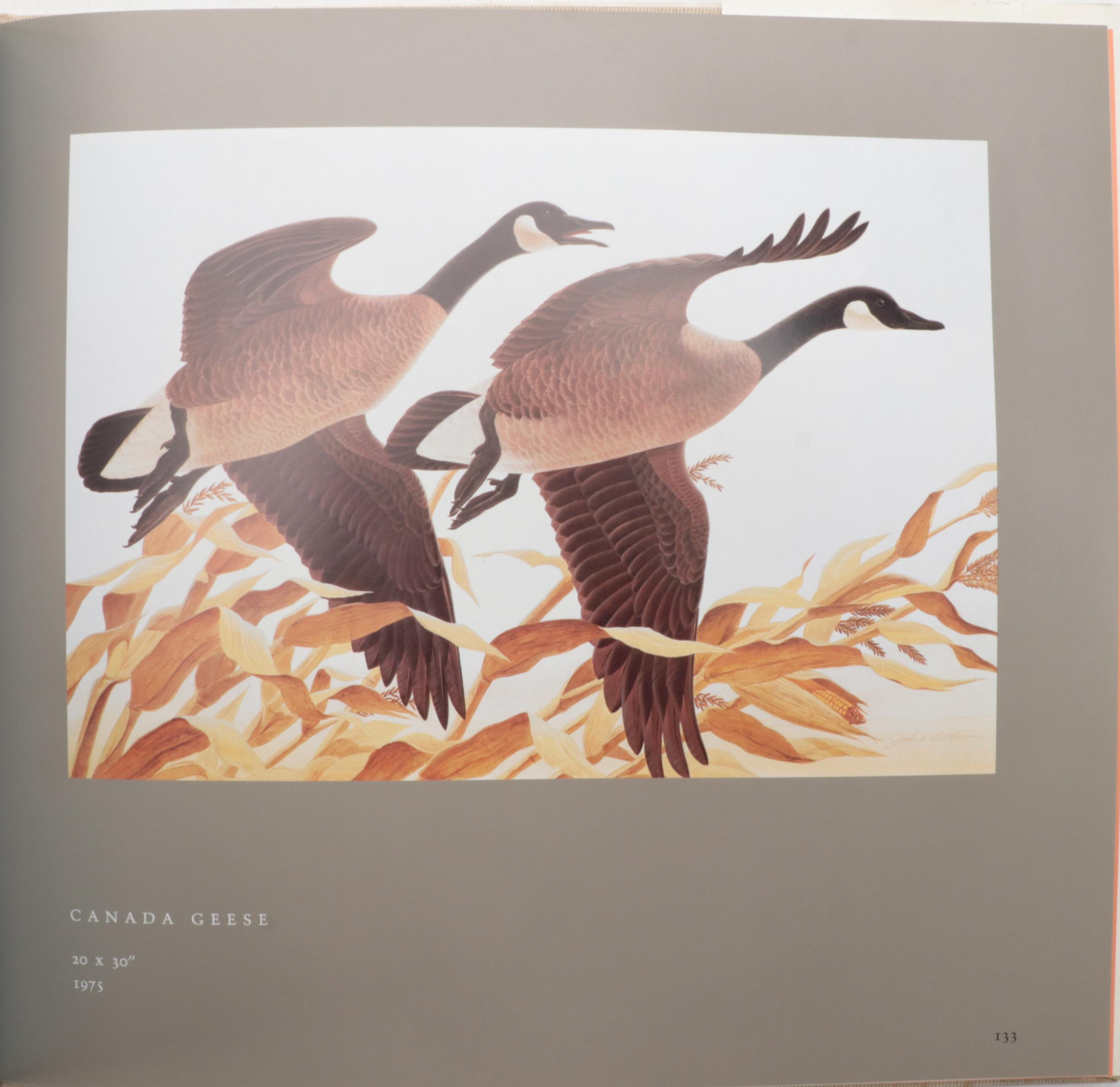 Signed "In the Audubon Tradition" by John A. Ruthven, 1994
