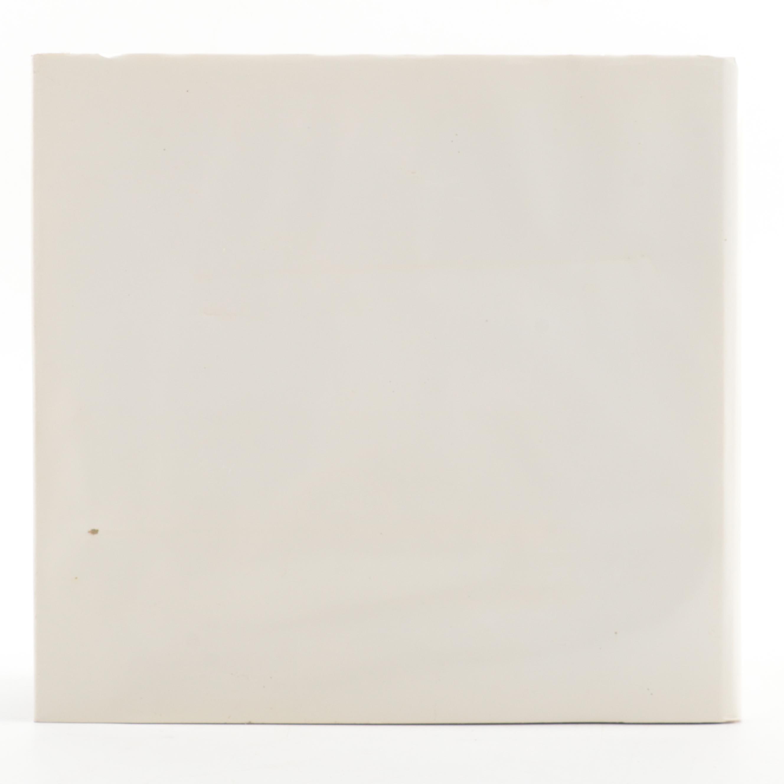 Signed "In the Audubon Tradition" by John A. Ruthven, 1994