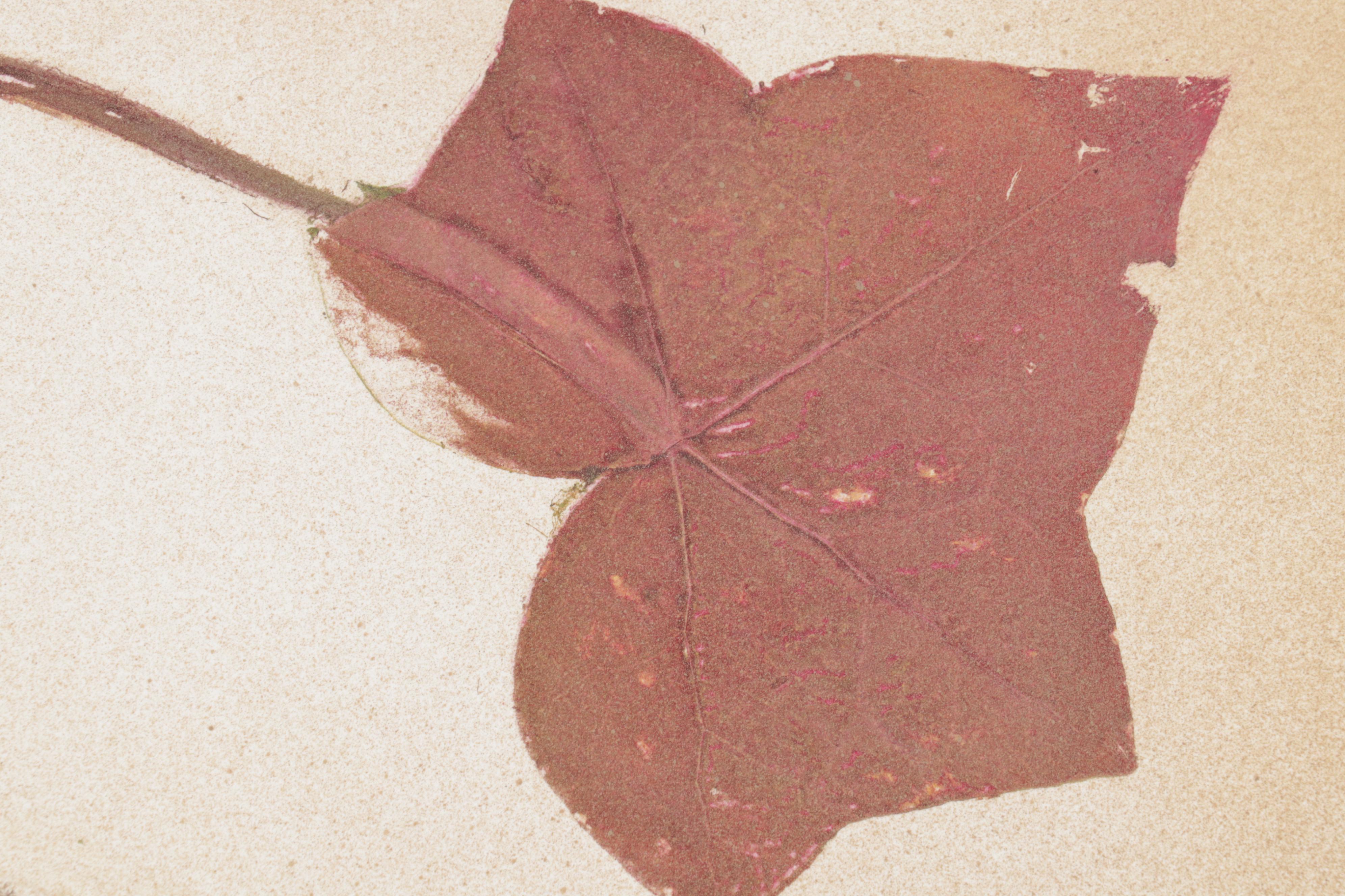 Phillip Jaeger Mixed Media Monoprint "Neo Ivy: Fall," 21st Century