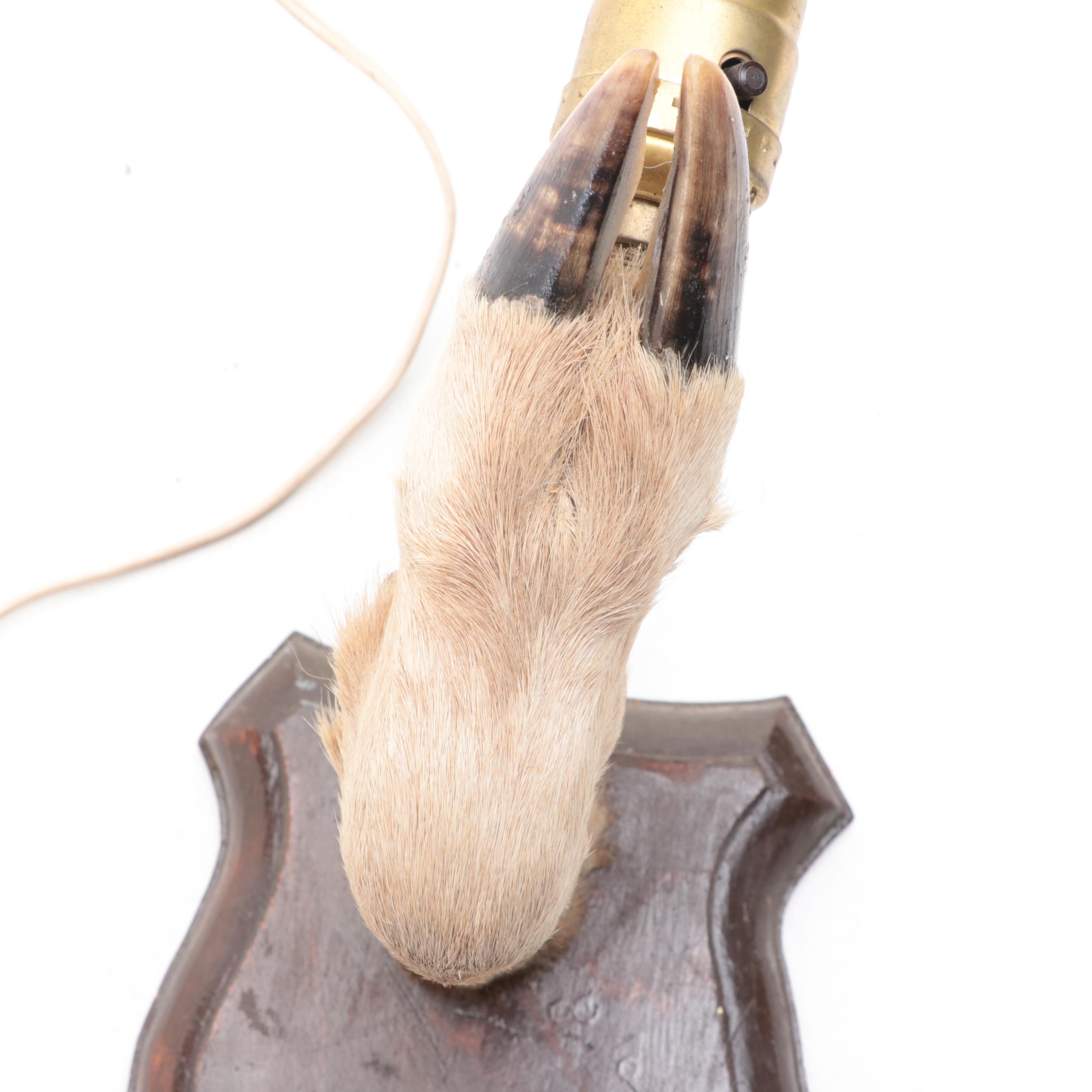 Taxidermy Deer Hoof Wall Lamp, Mid to Late 20th Century
